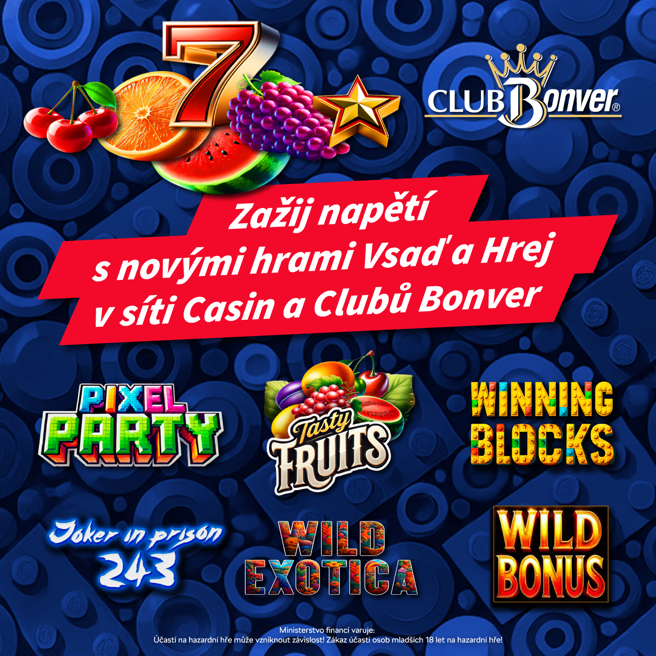 HERNA CLUB BONVER CITY foto 3