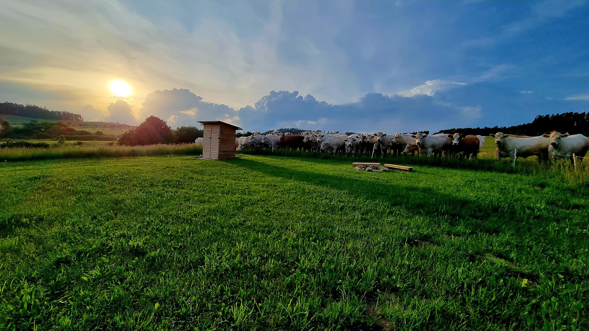 Terasy Zvěstov na dohled Blaníku-bezKempu foto 2