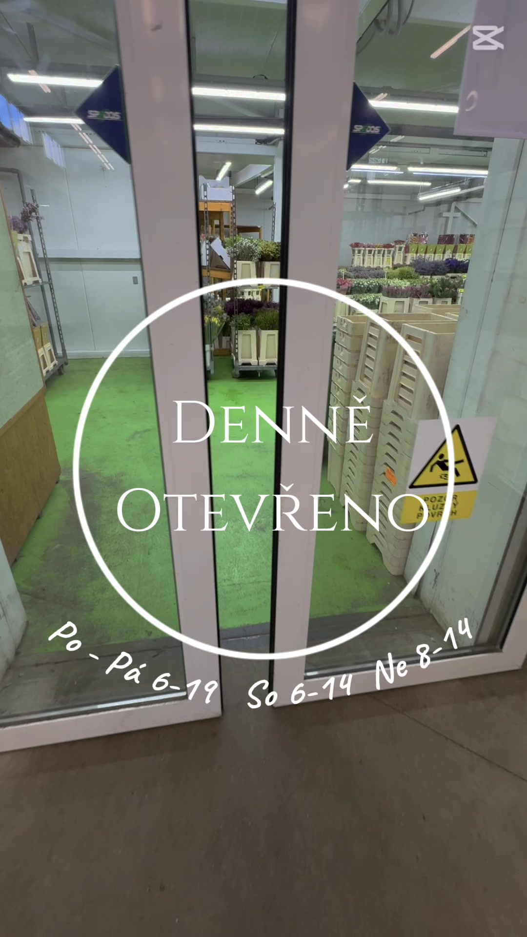 Vonekl s.r.o./ velkoobchod květin a doplňků foto 2 (náhled videa)