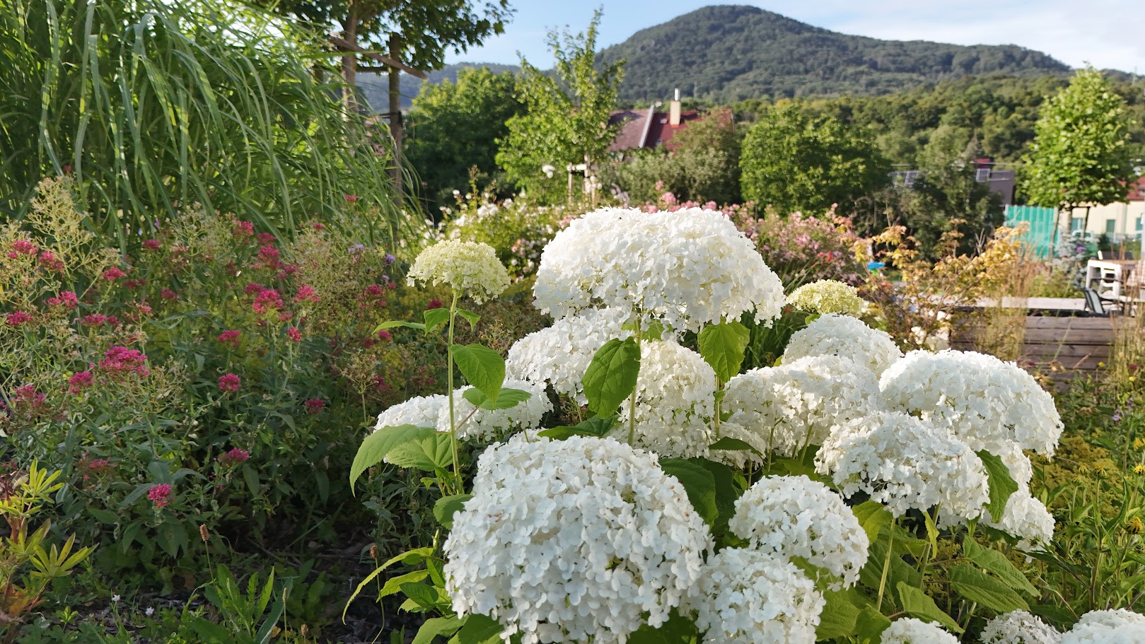 Zahrady v květu foto 4