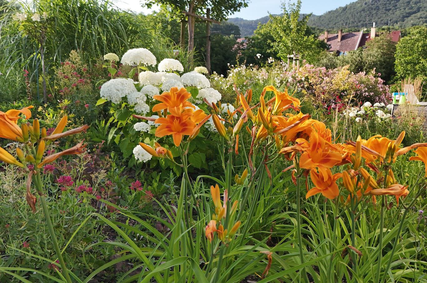 Zahrady v květu foto 2