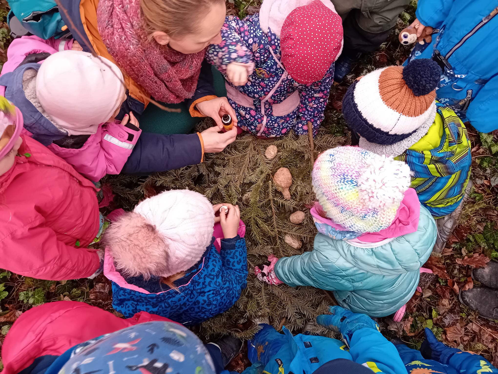 Lesní klub Vlčí mák foto 2