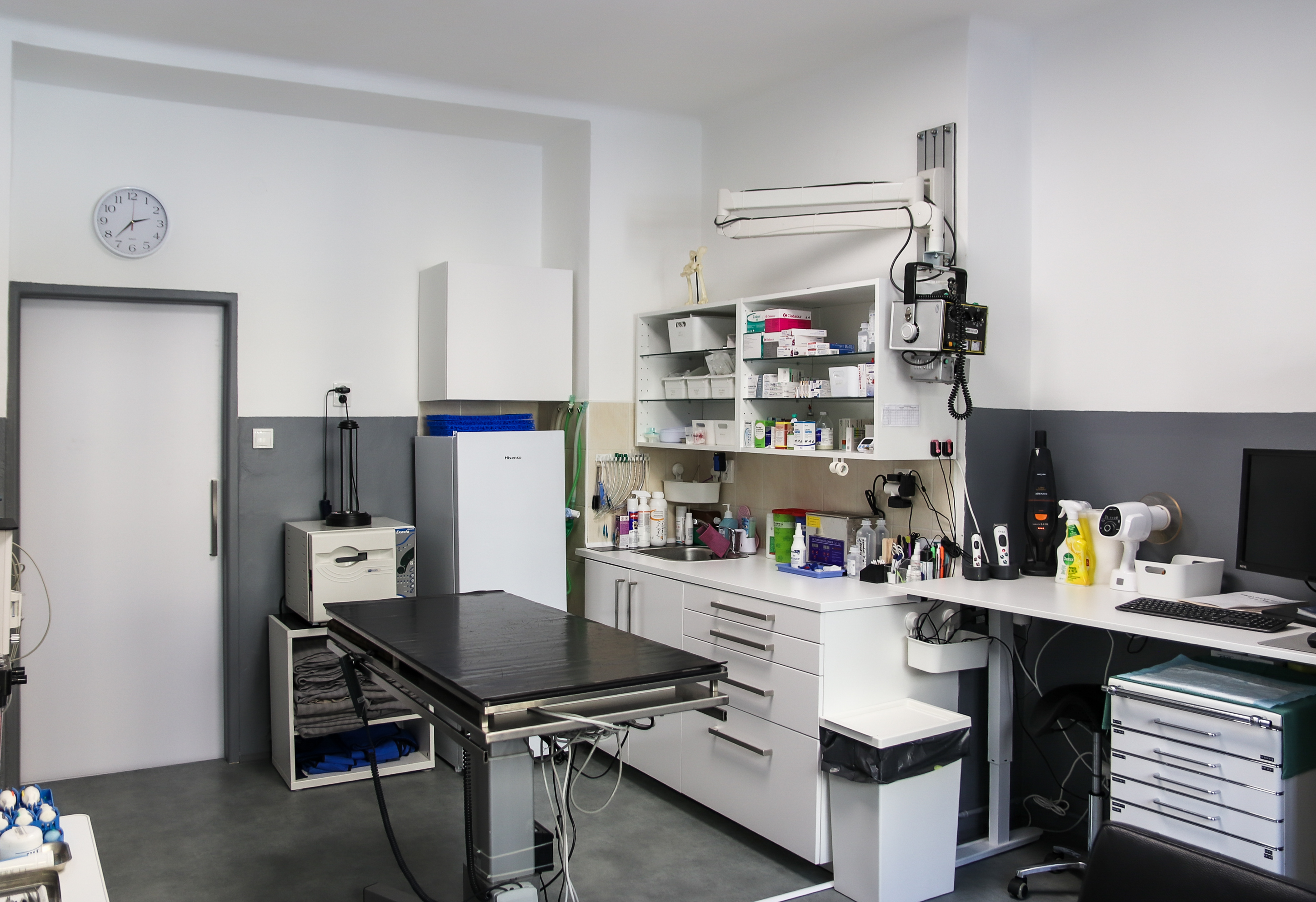 HANIMA Veterinary Clinic foto 6