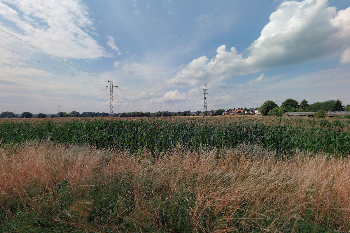 Kukuřičáci – Obří kukuřičné bludiště Turnov - Čtveřín foto 6
