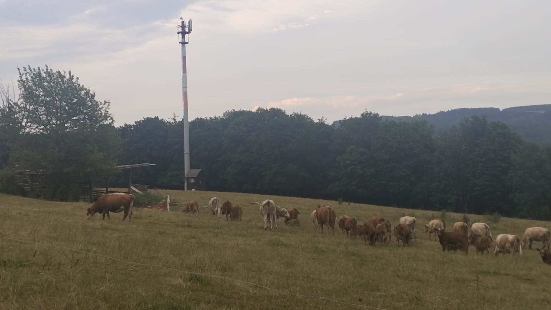 Bio farma Bedřichov foto 2 (náhled videa)