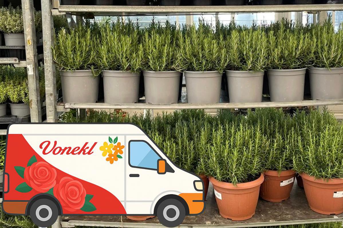 Rozvozy květin a doplňků