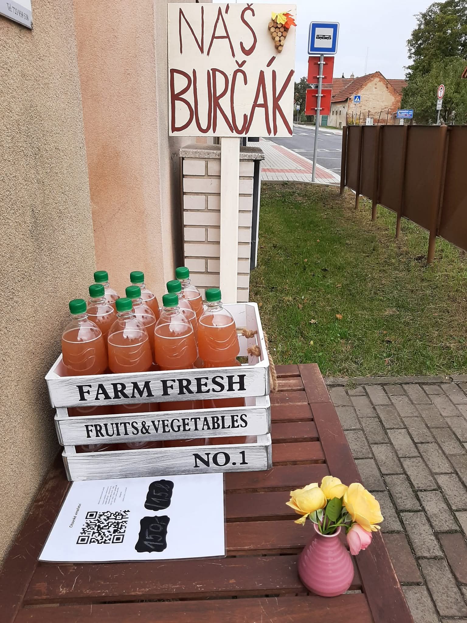 Cítovské vinařství foto 2