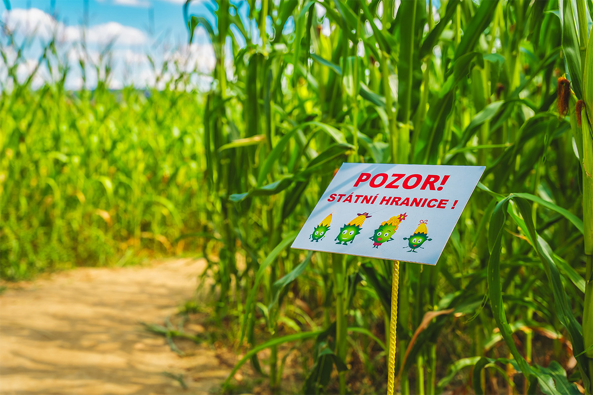 Kukuřičáci – Obří kukuřičné bludiště České Budějovice