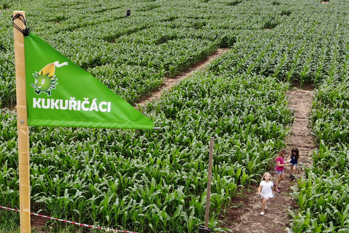 Kukuřičáci – Obří kukuřičné bludiště Cheb