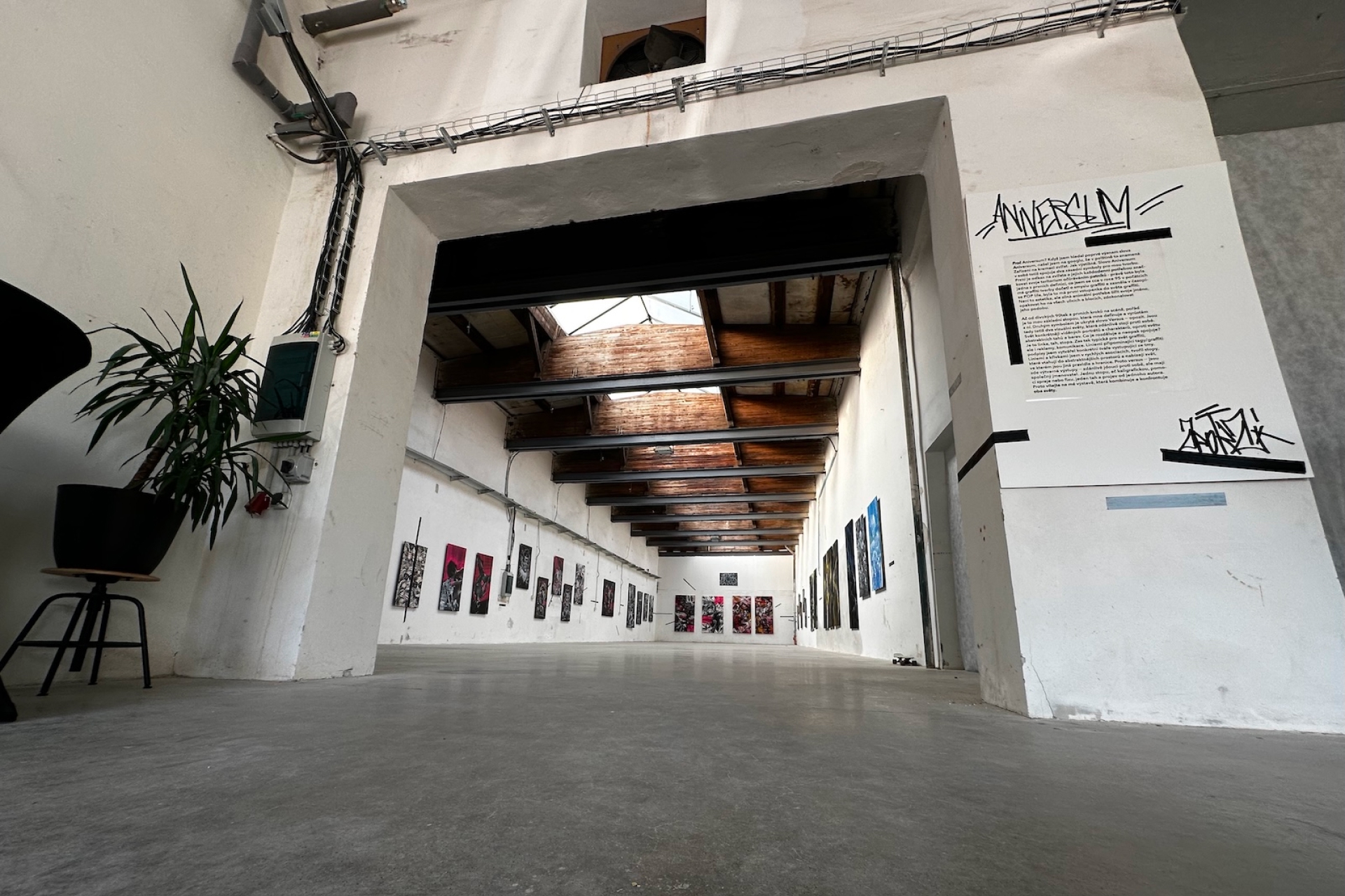 Boldhalle foto 2