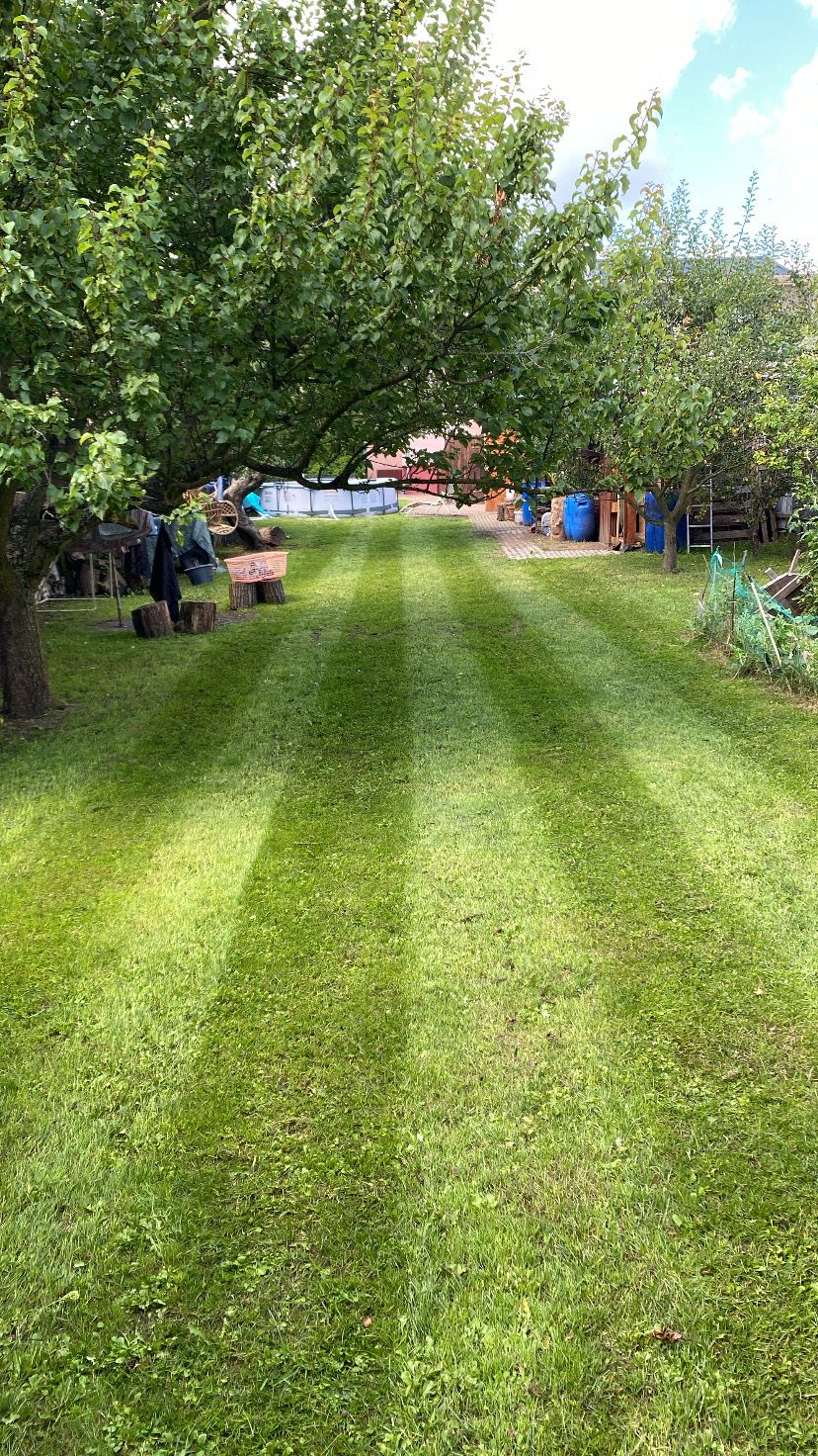 Zahradnické Práce Kubín foto 3