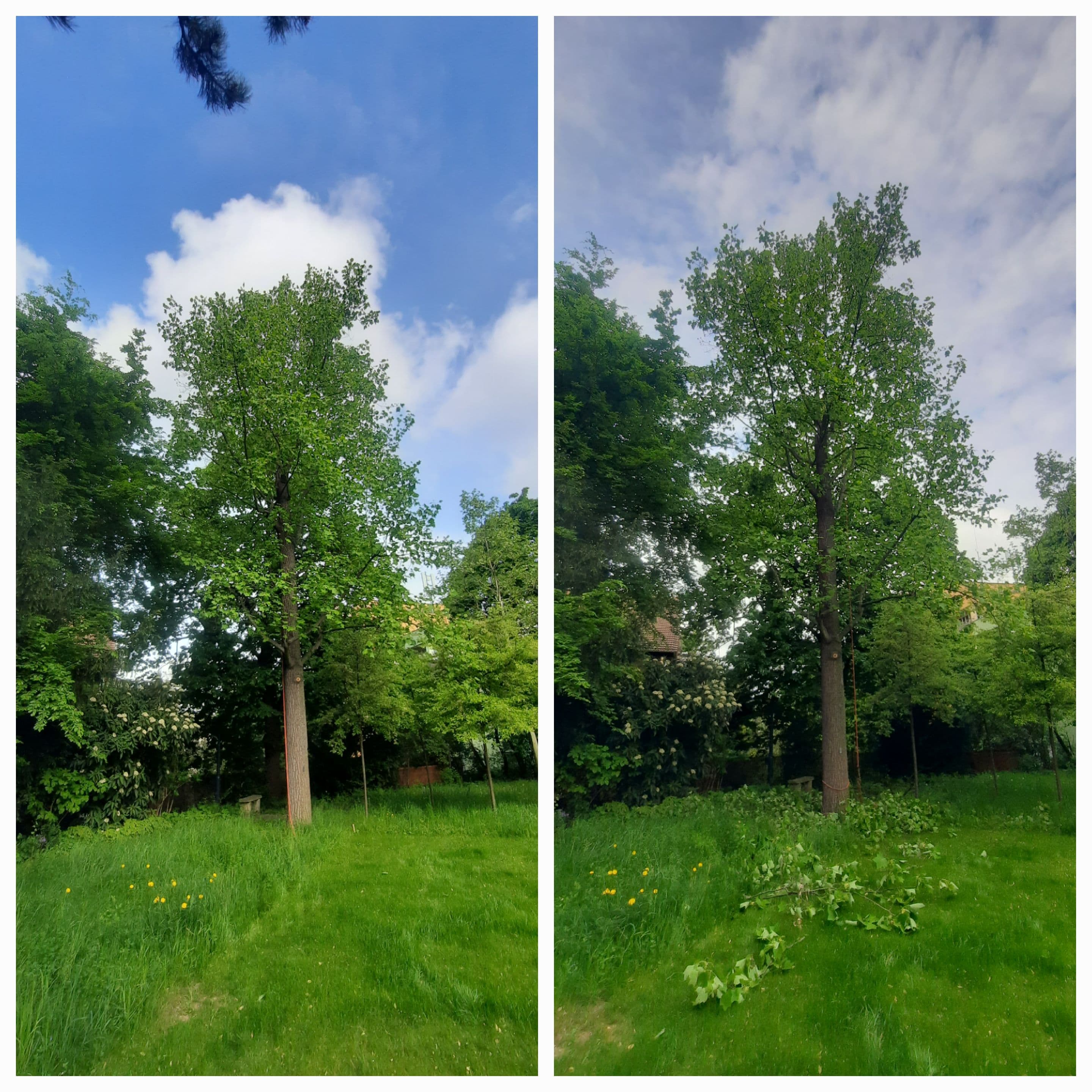 B&S ARBO foto 4