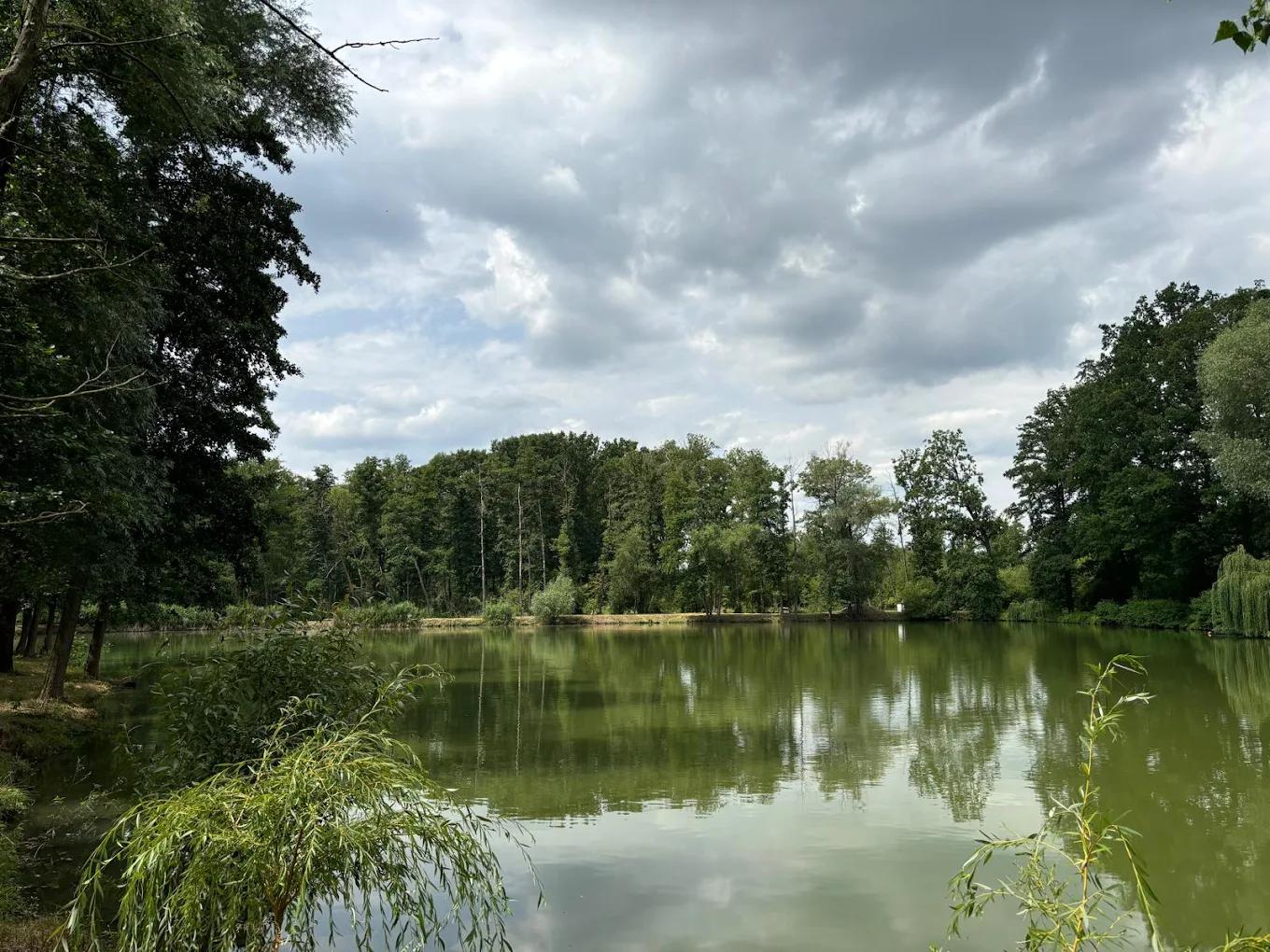 Crkáňský rybník foto 2