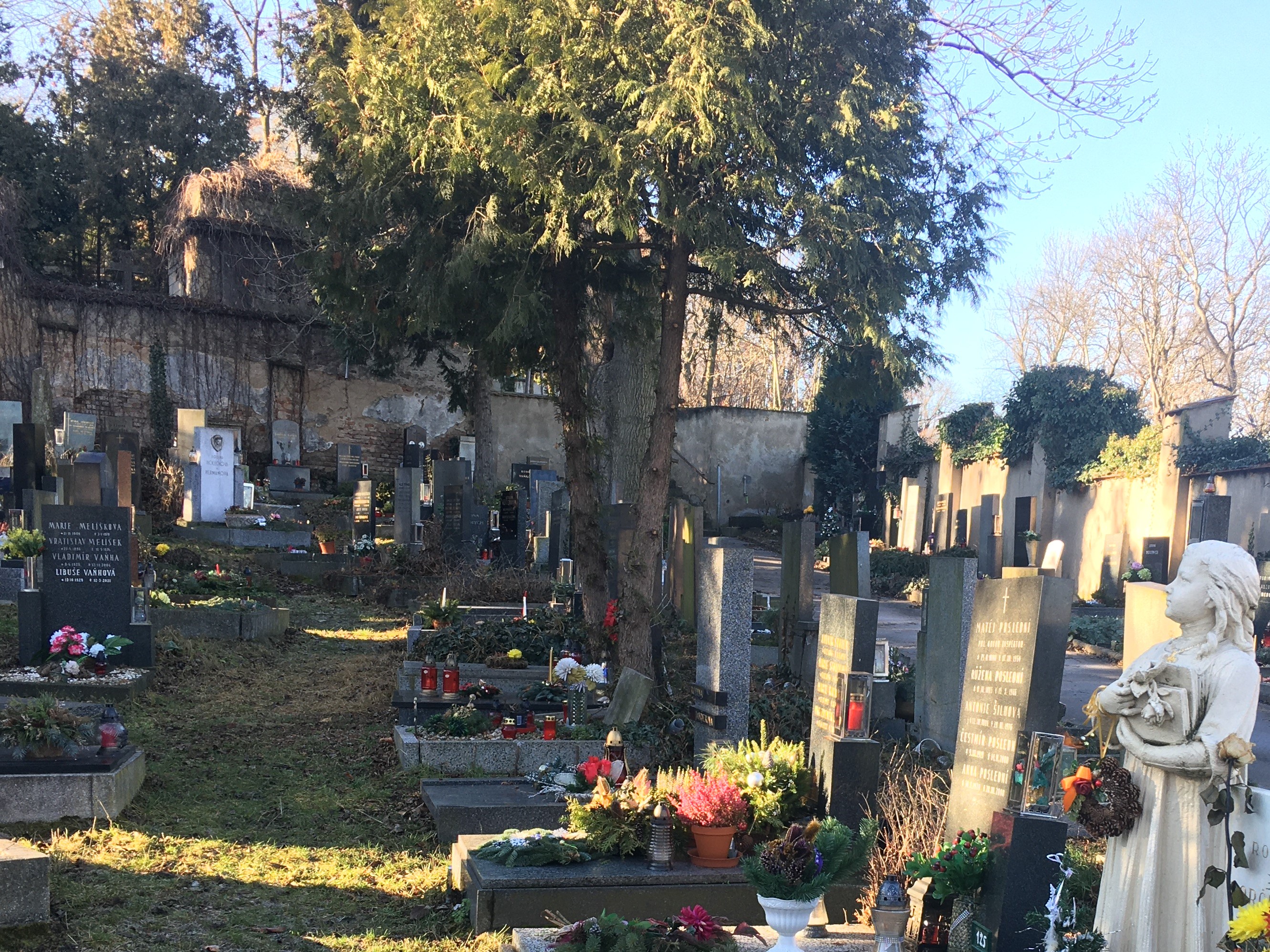 Holešovický Hřbitov - Hřbitovy a pohřební služby hl. m. Prahy foto 3