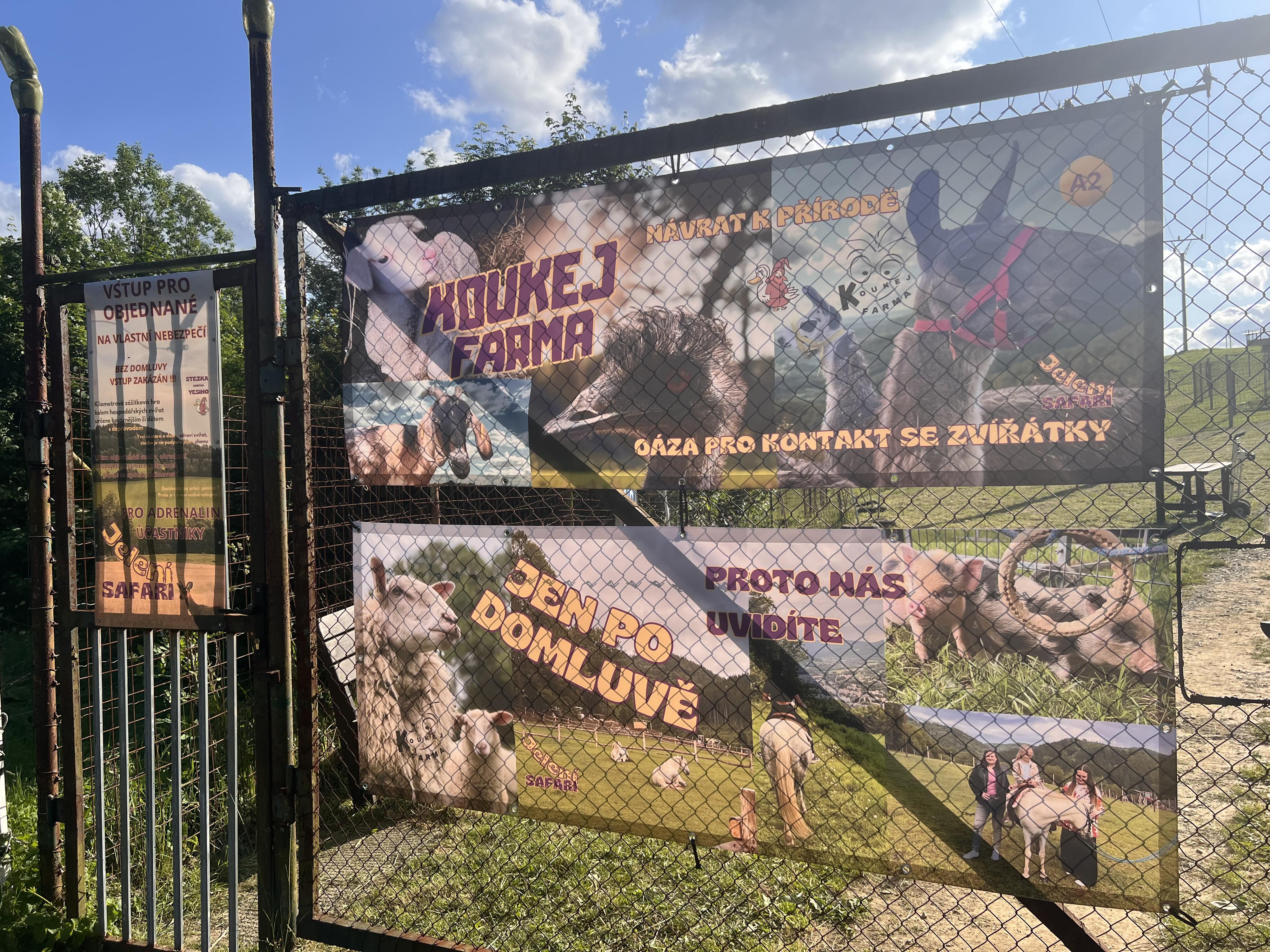 Jelení safari - Koukej farma foto 3