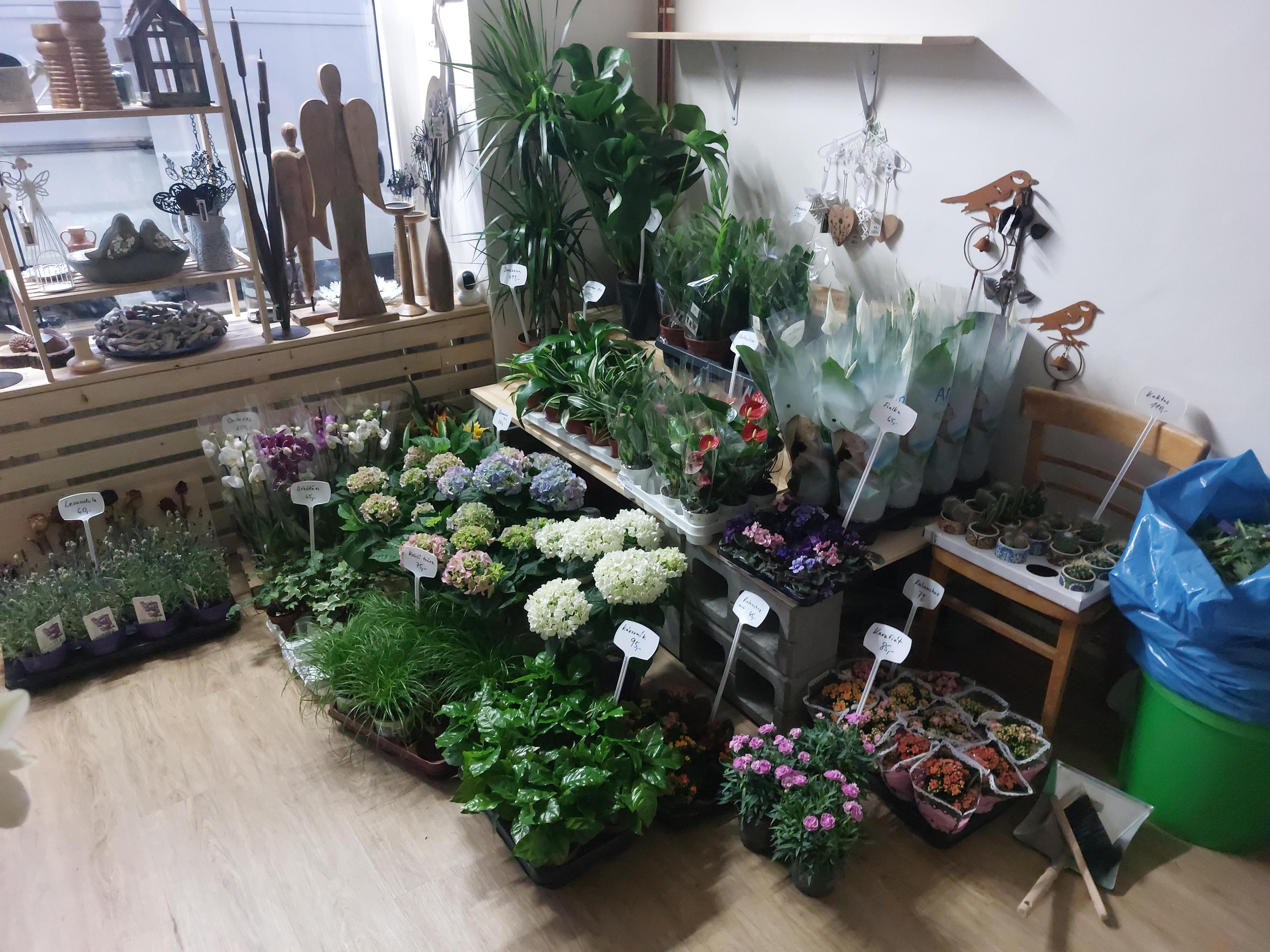 Květinářství Tulikráska foto 6