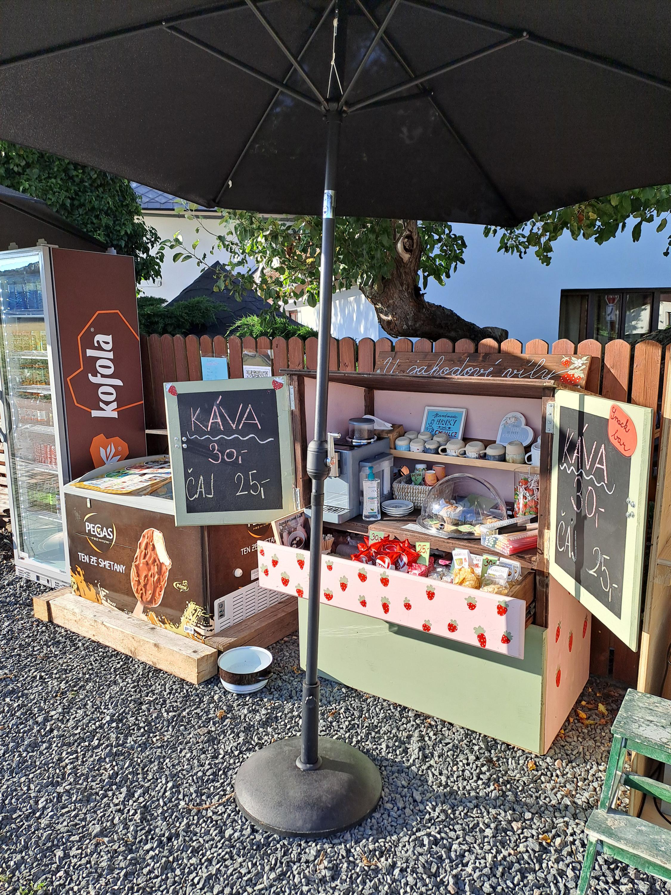 Samoobslužný bar u jahodové Víly foto 3