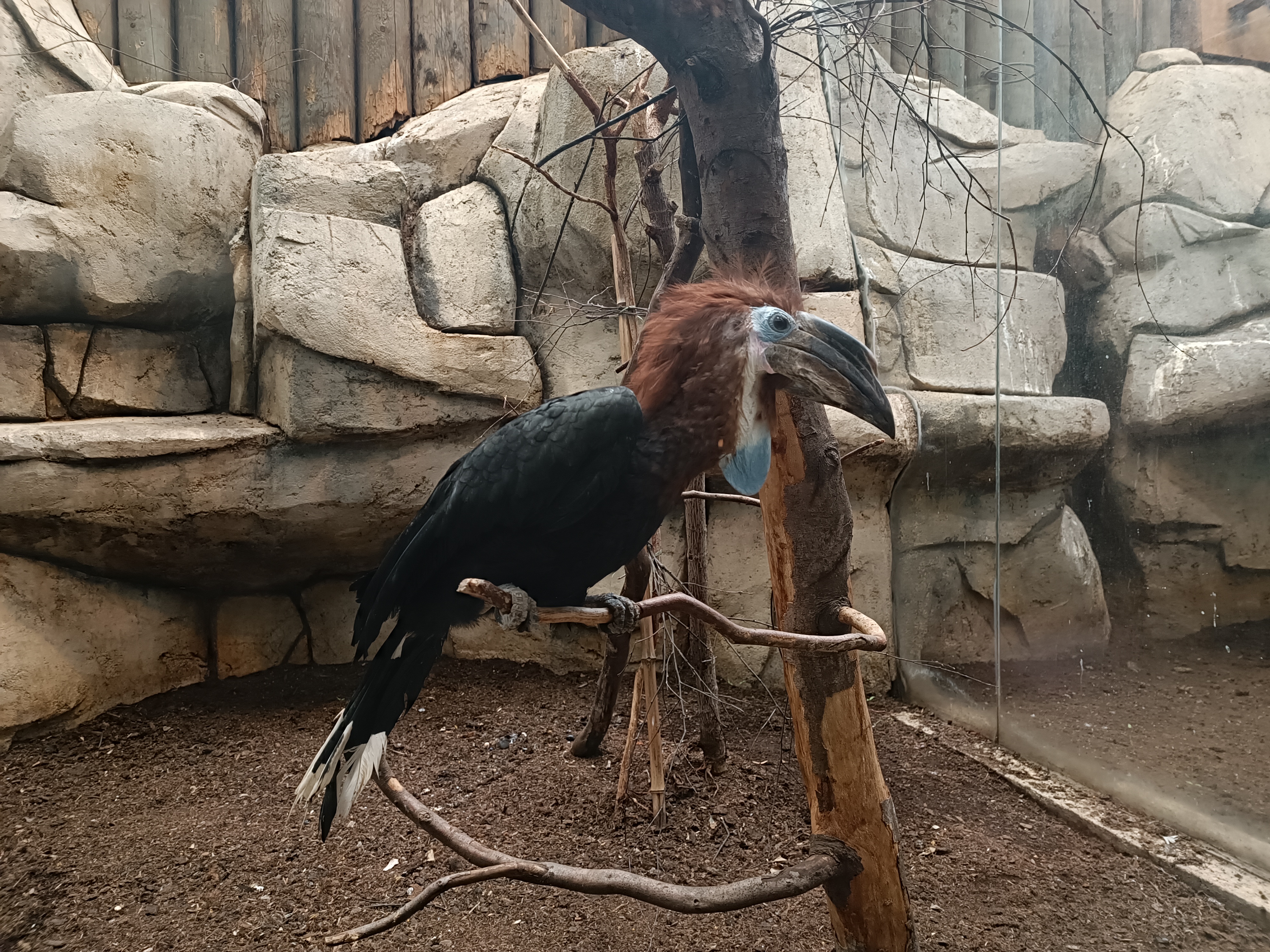 Zoo Liberec foto 4