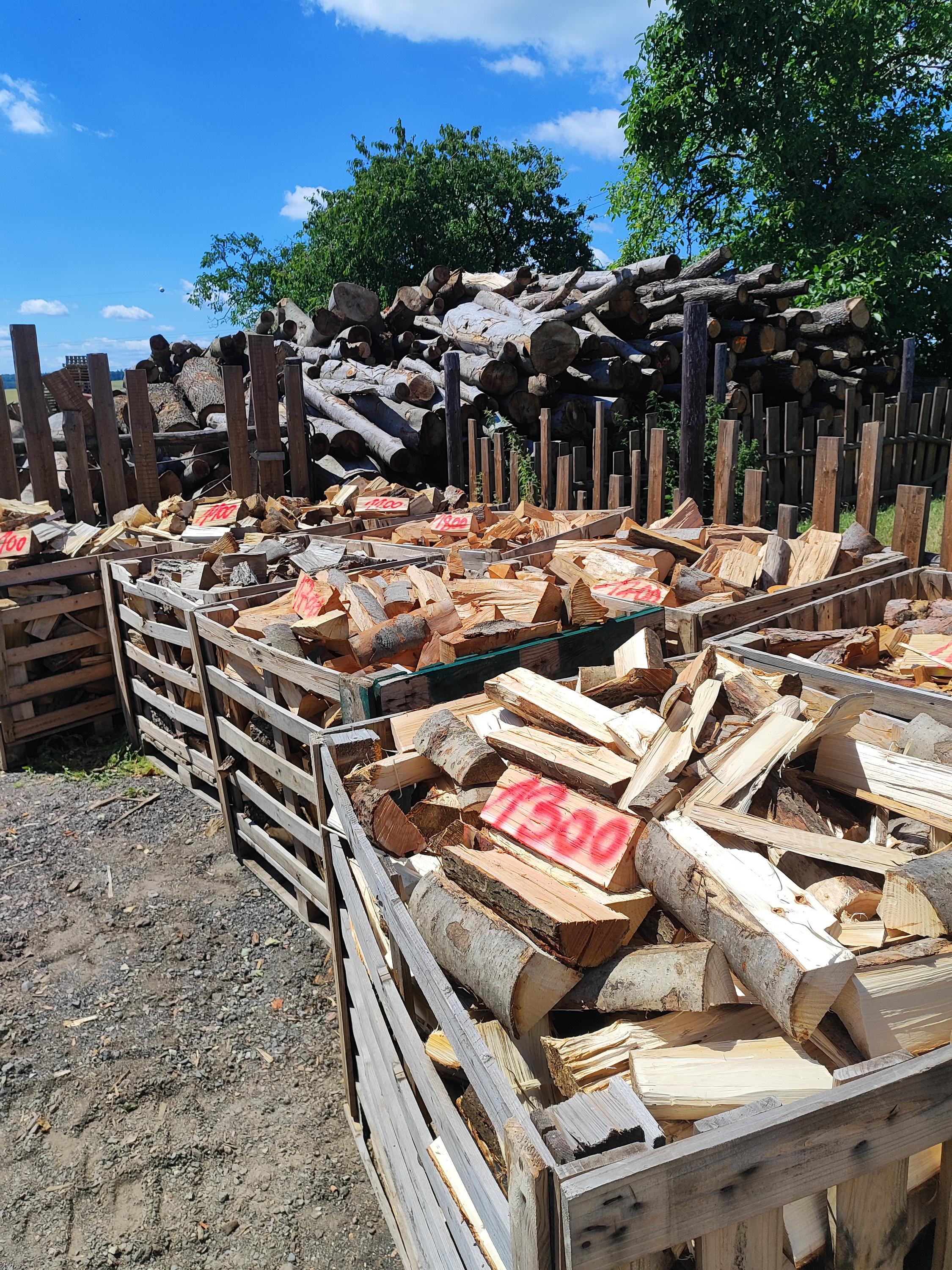 Pila Panenský Týnec foto 6