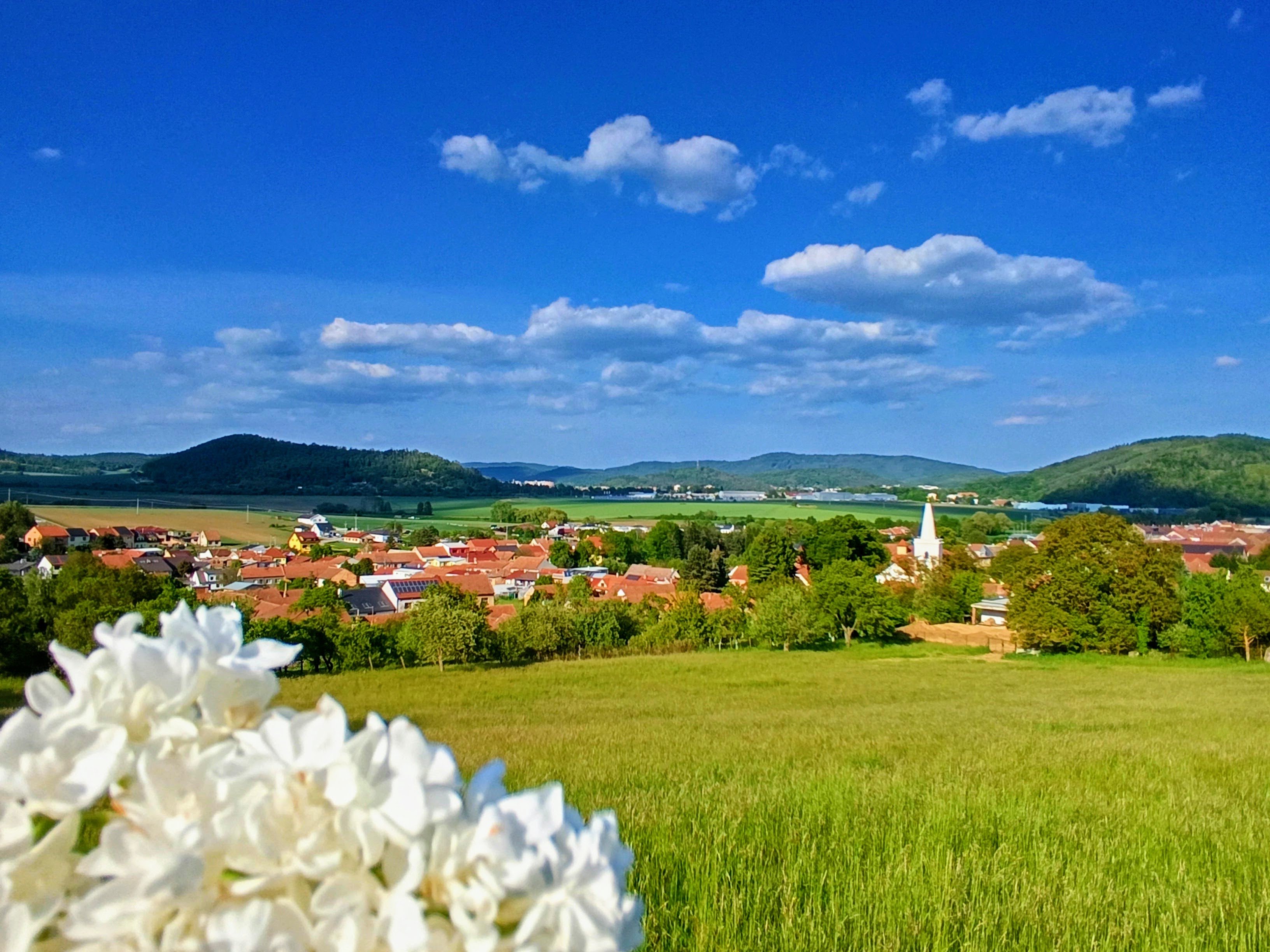 Moravské Knínice foto 3