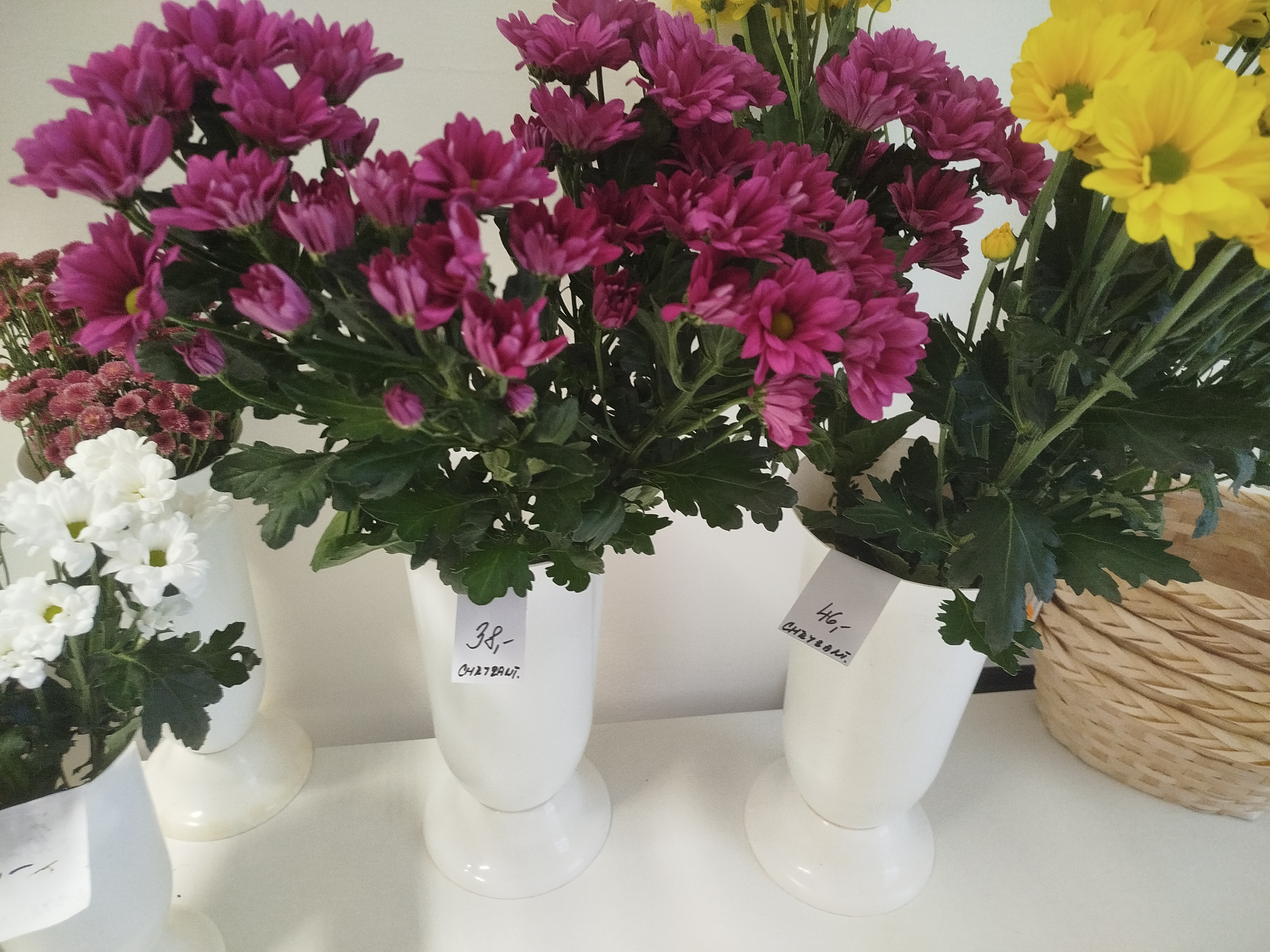 Květinářství Tichá zahrada foto 3