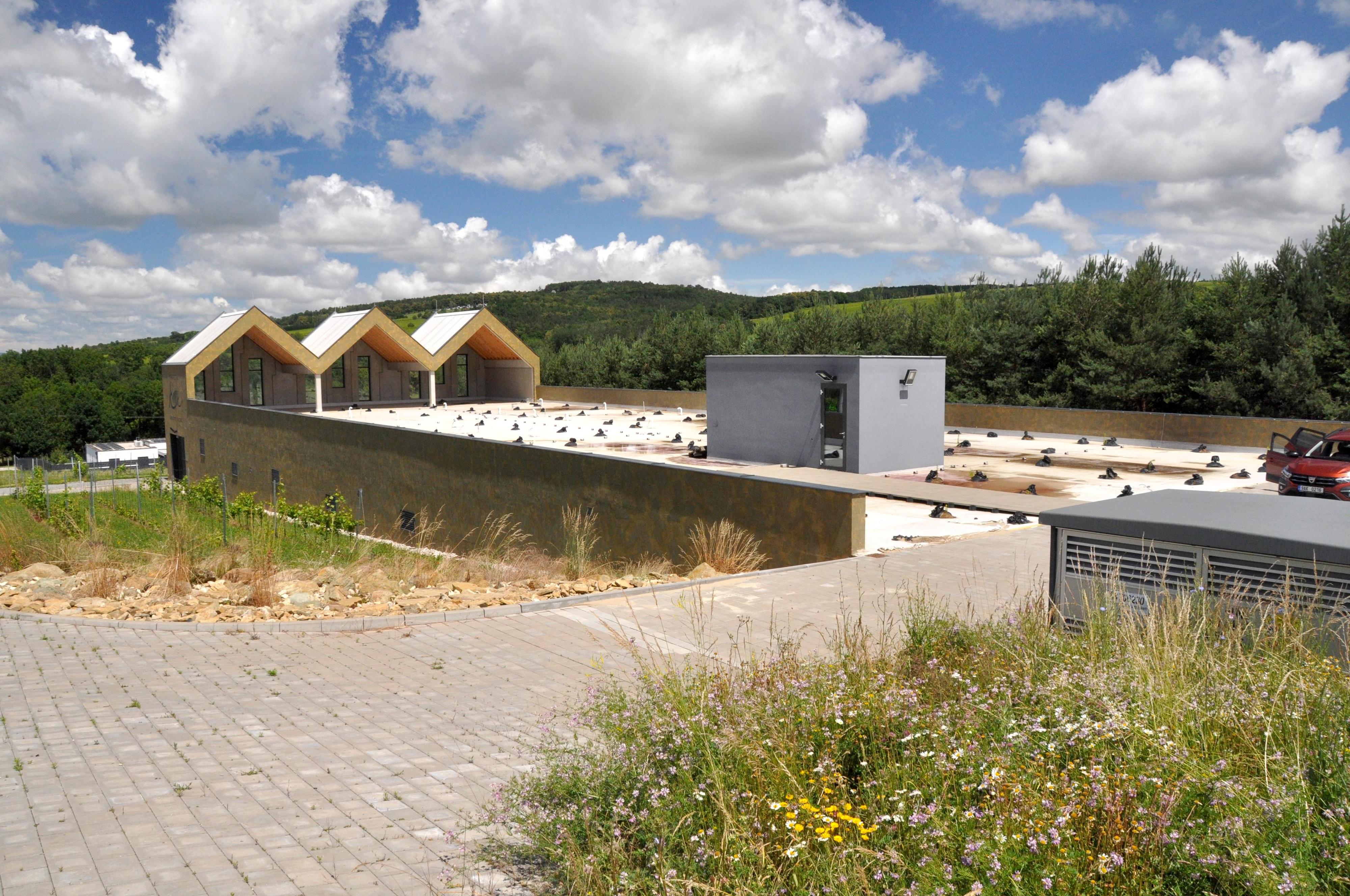 Vinařství Konopný kopec foto 3