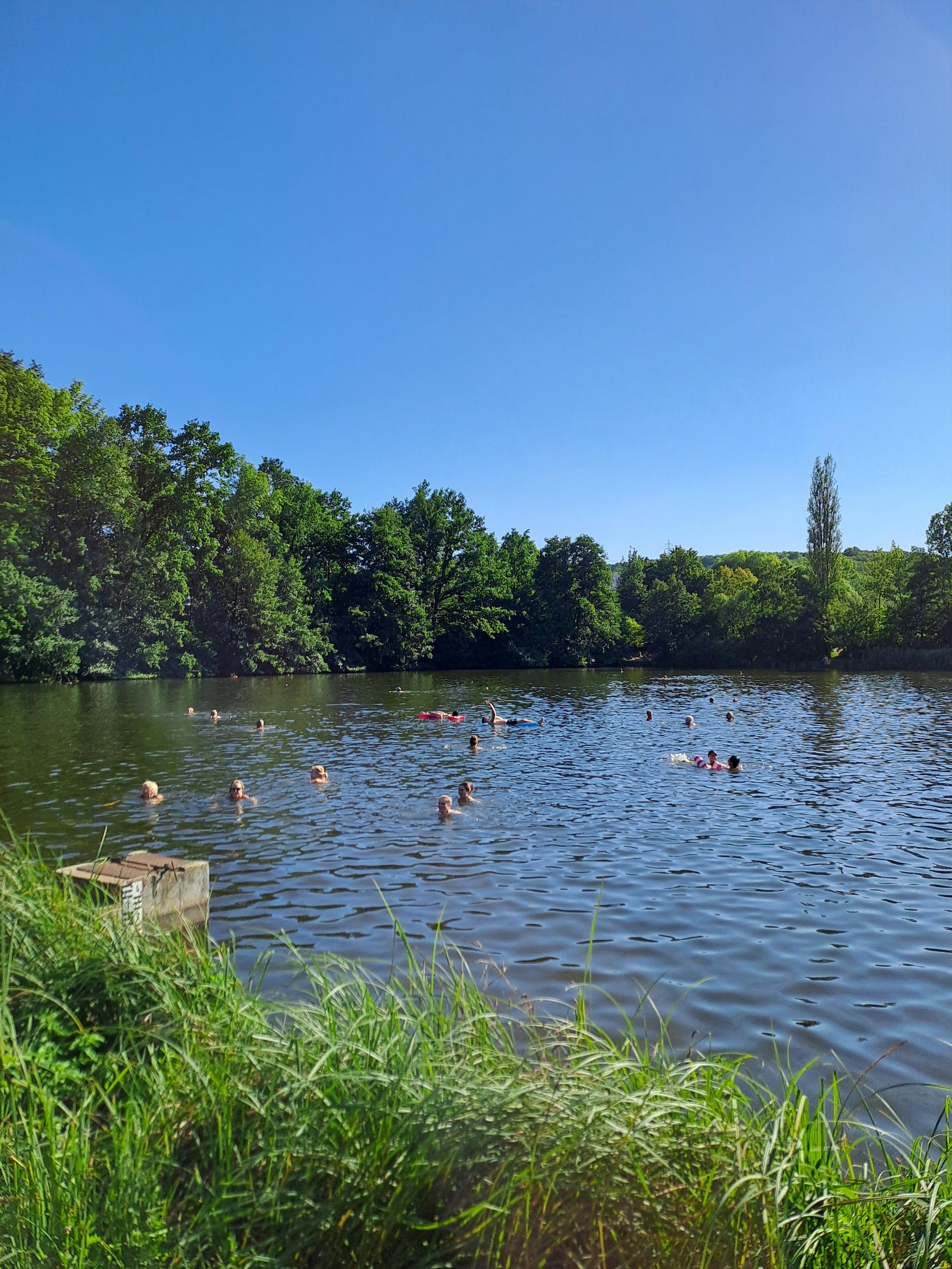 Přírodní koupaliště Motol foto 4