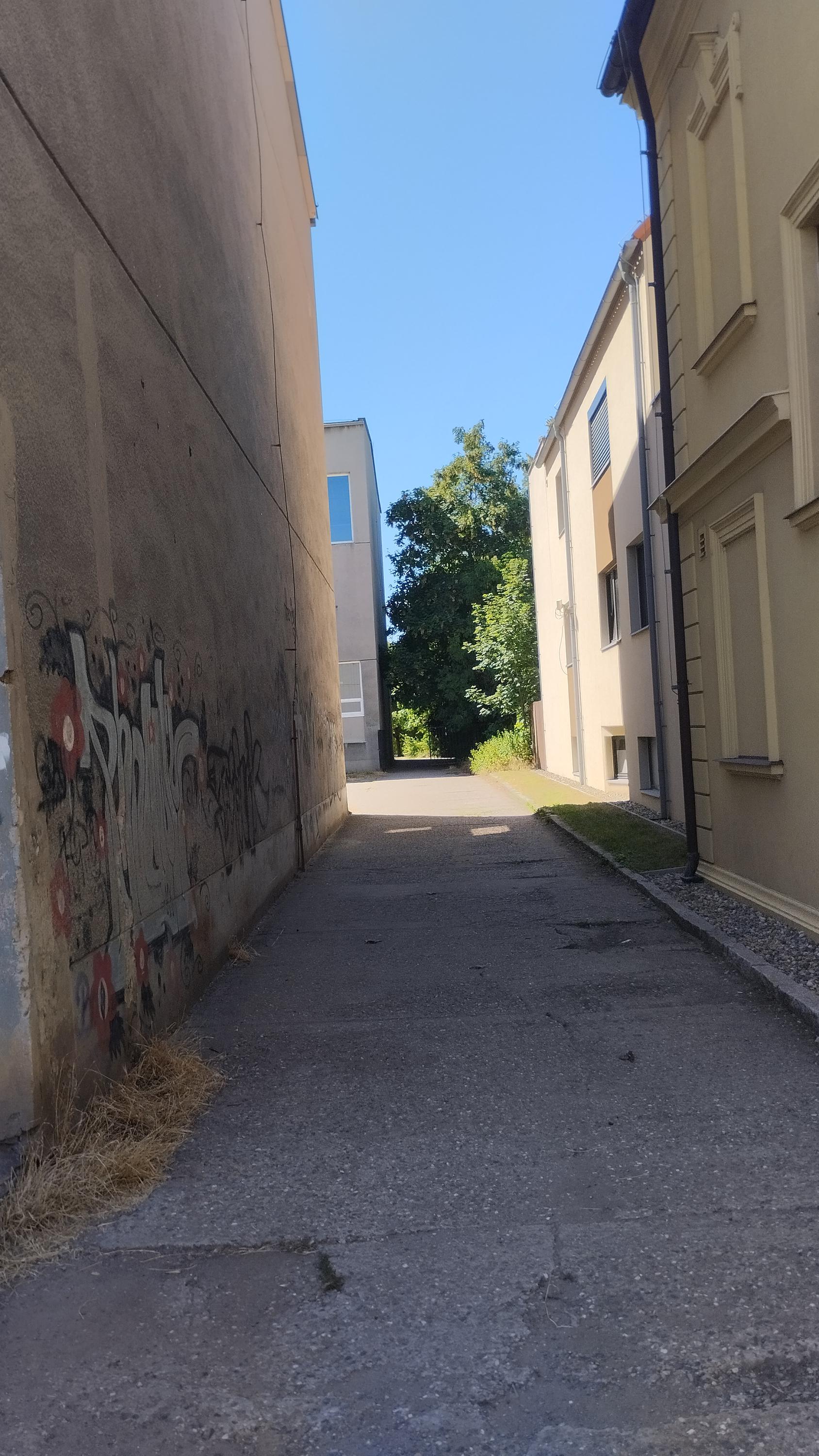 Plavecký bazén foto 3