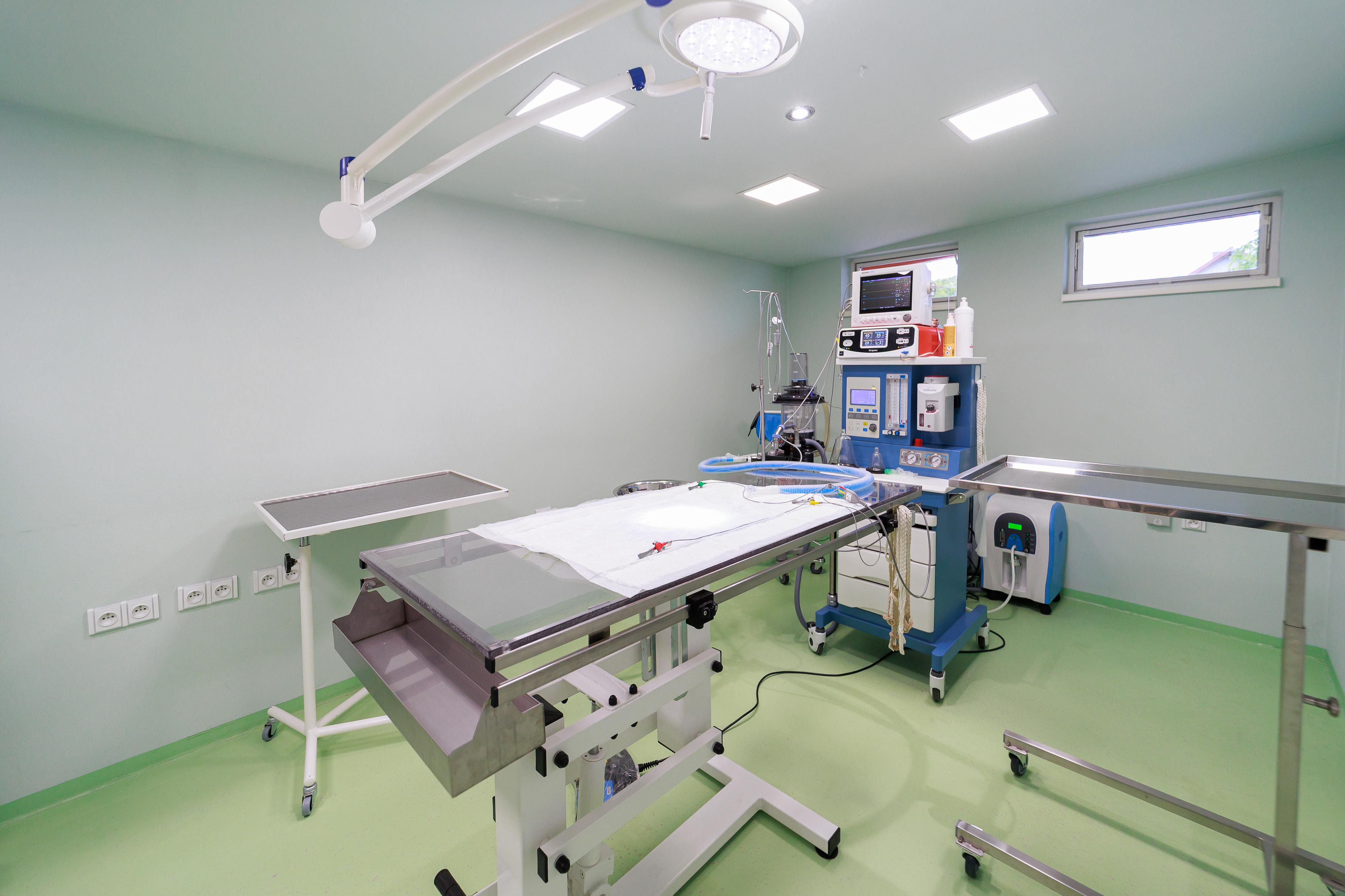 Veterinární ambulance Býšť foto 2