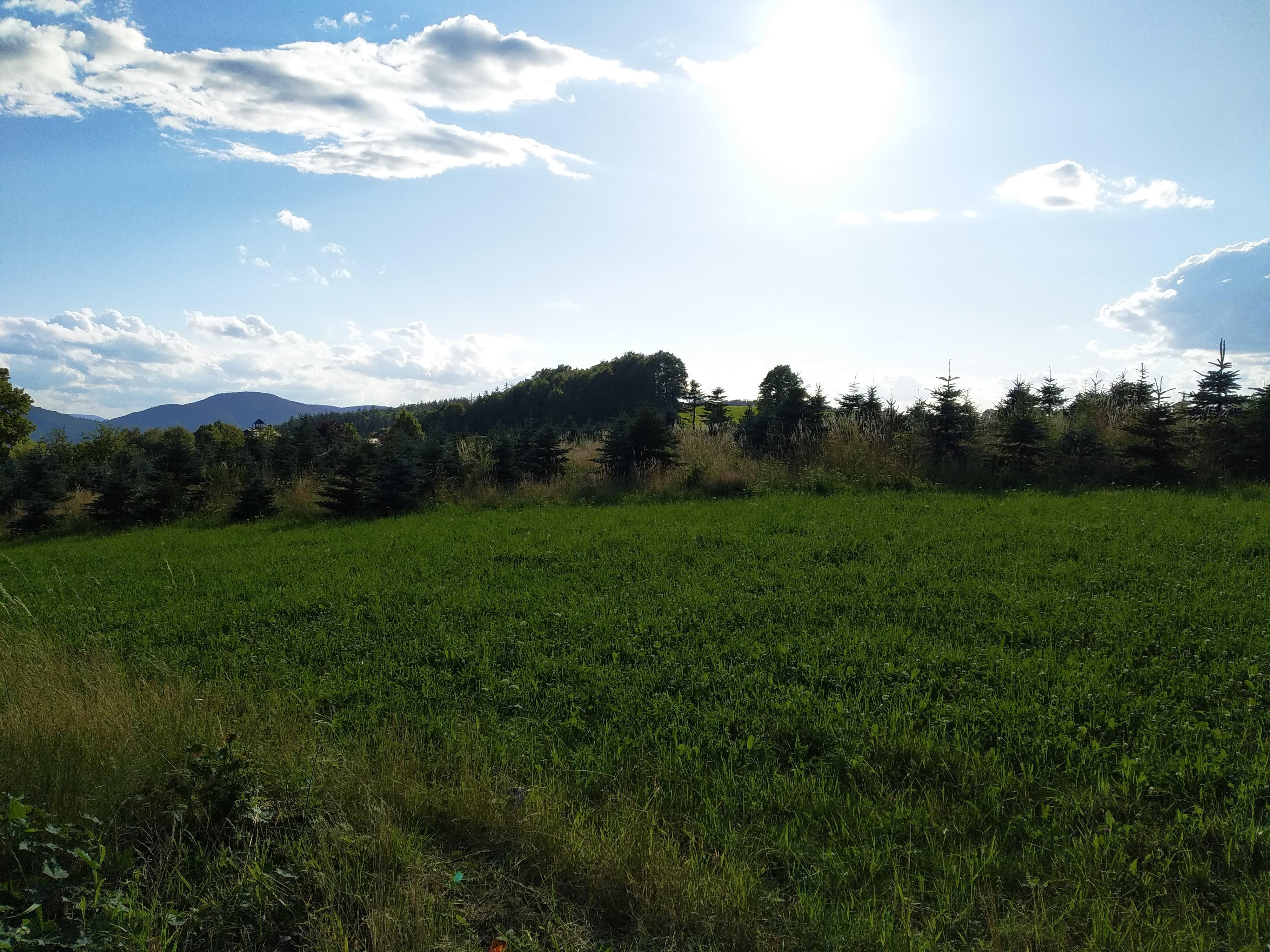 Obří Sud Libverda *** foto 3