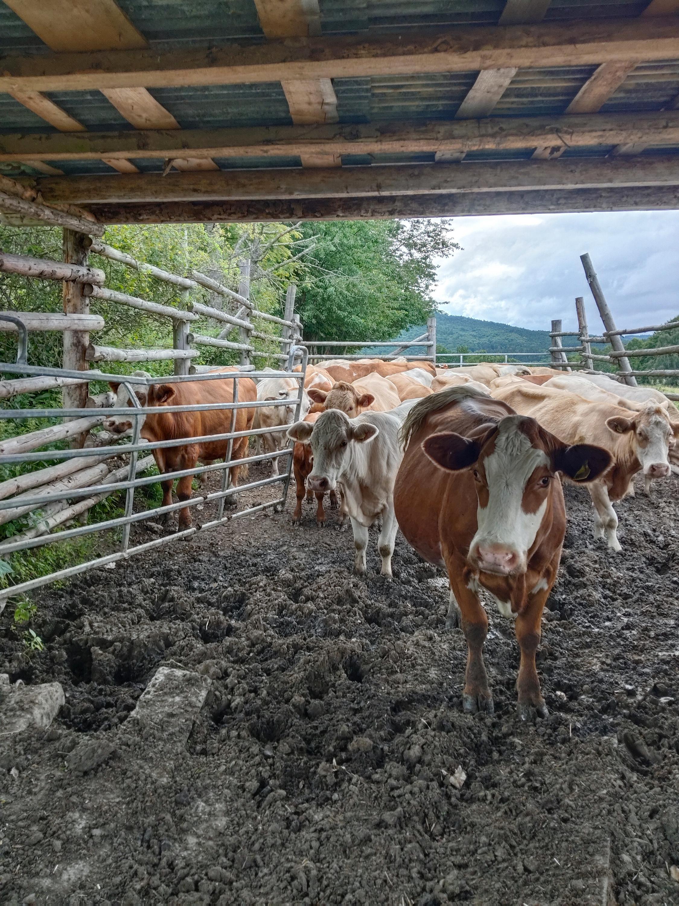Bio farma Bedřichov foto 3
