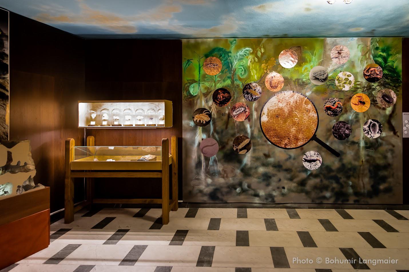 Přírodovědné muzeum Semenec foto 3