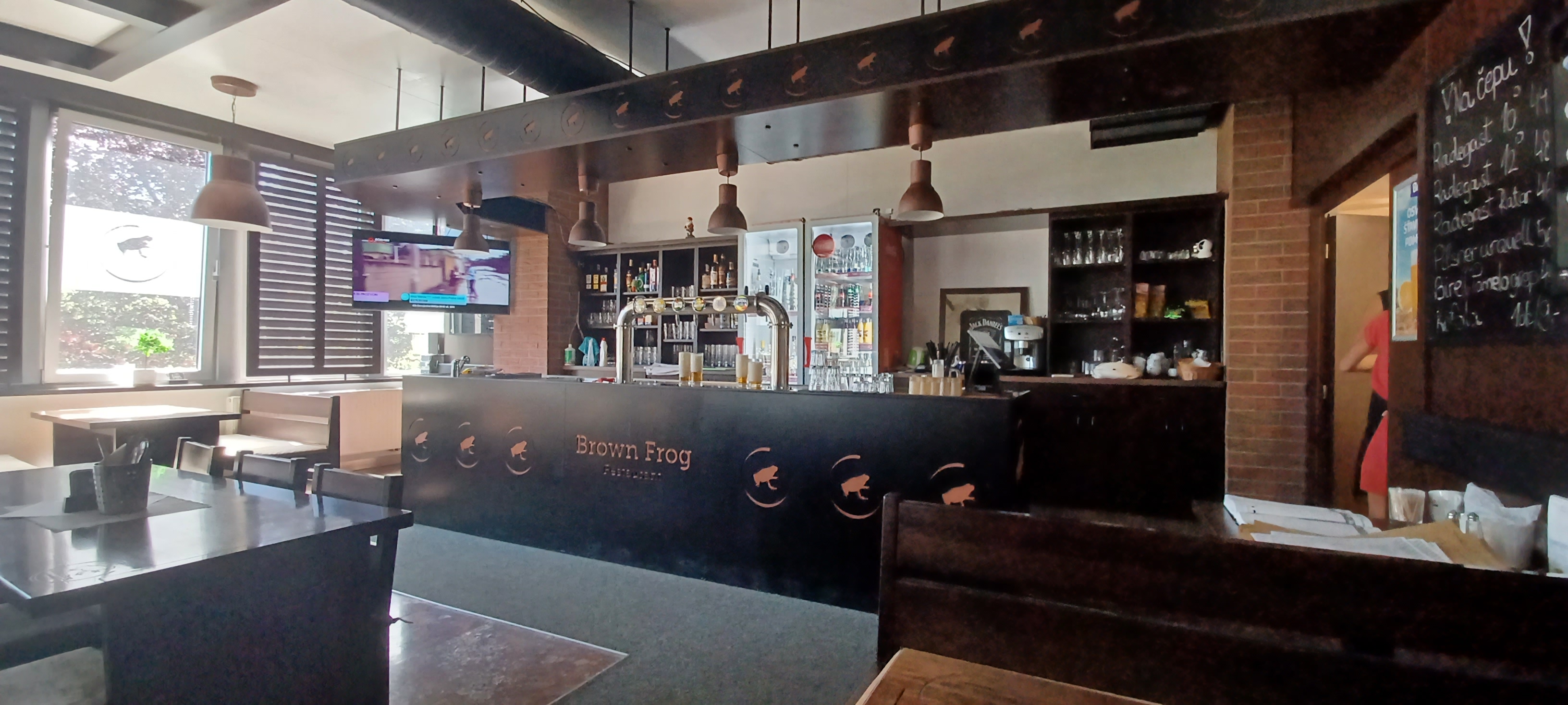 Brown Frog foto 4