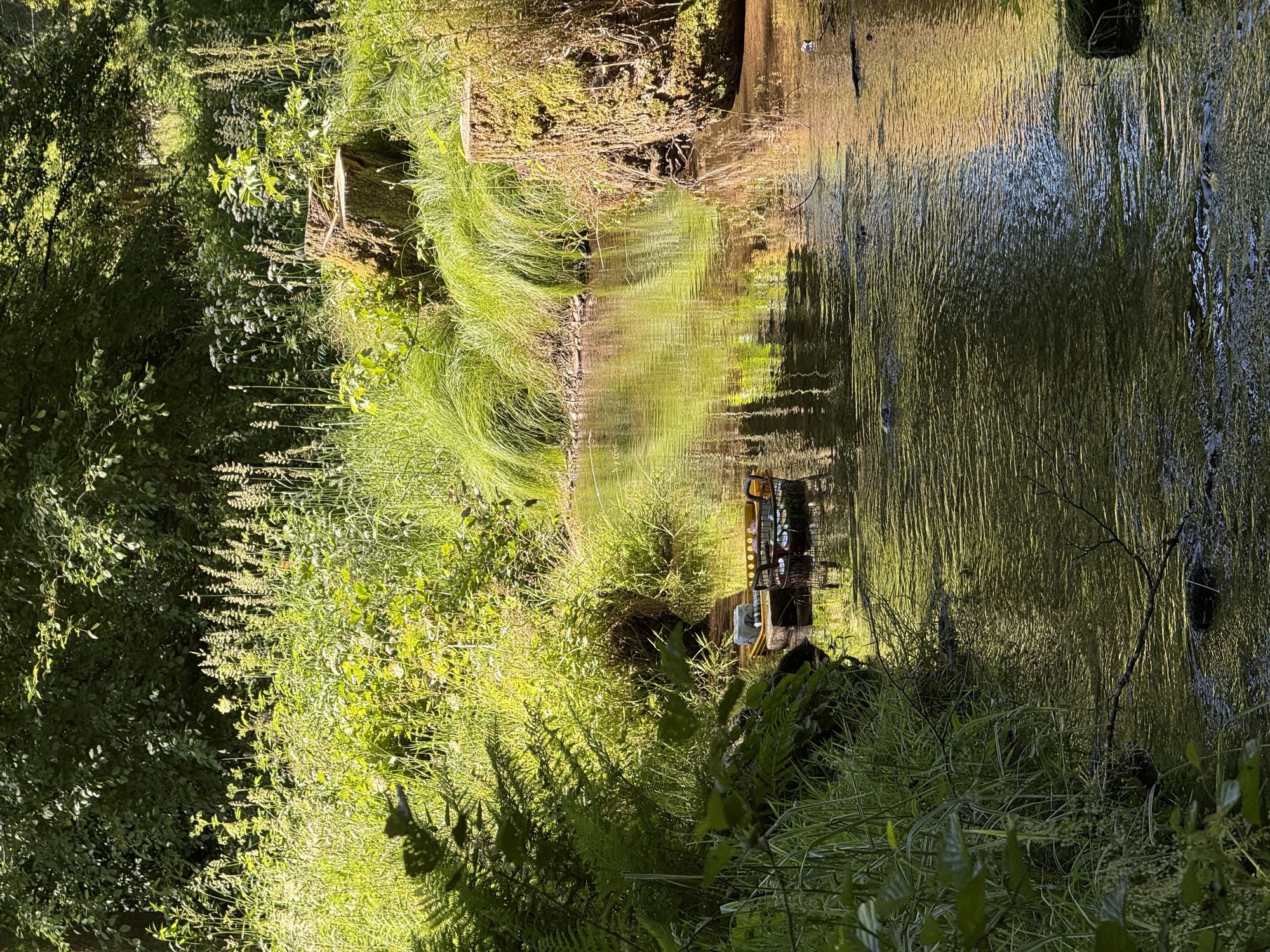 Samoobslužný bar foto 2