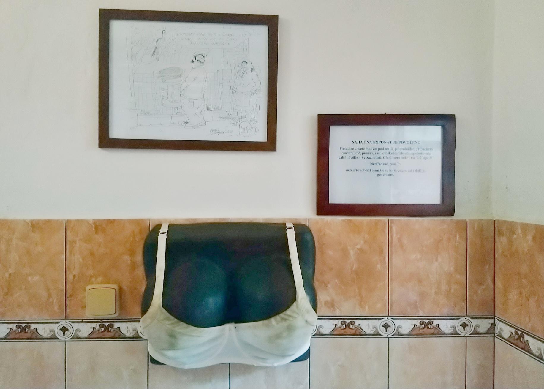 Pivovar U Hušků foto 2