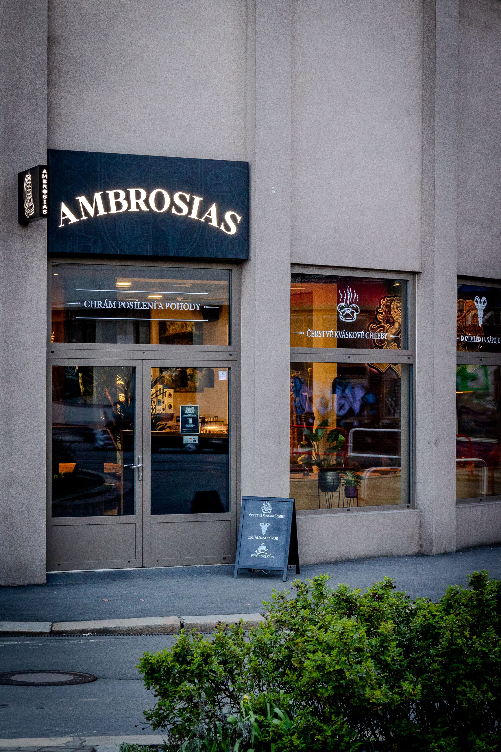 AMBROSIAS foto 2