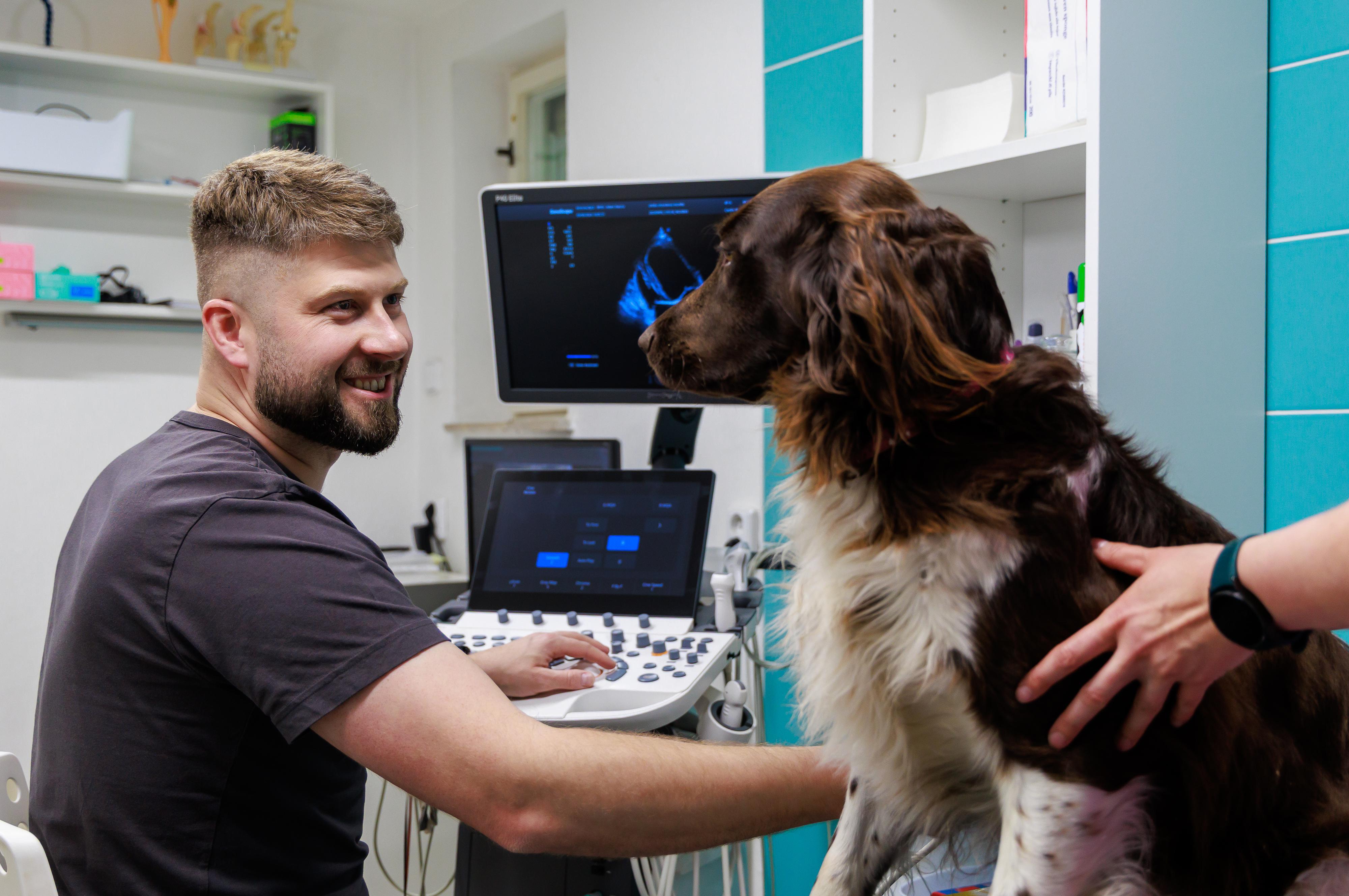 Veterinární ambulance Býšť