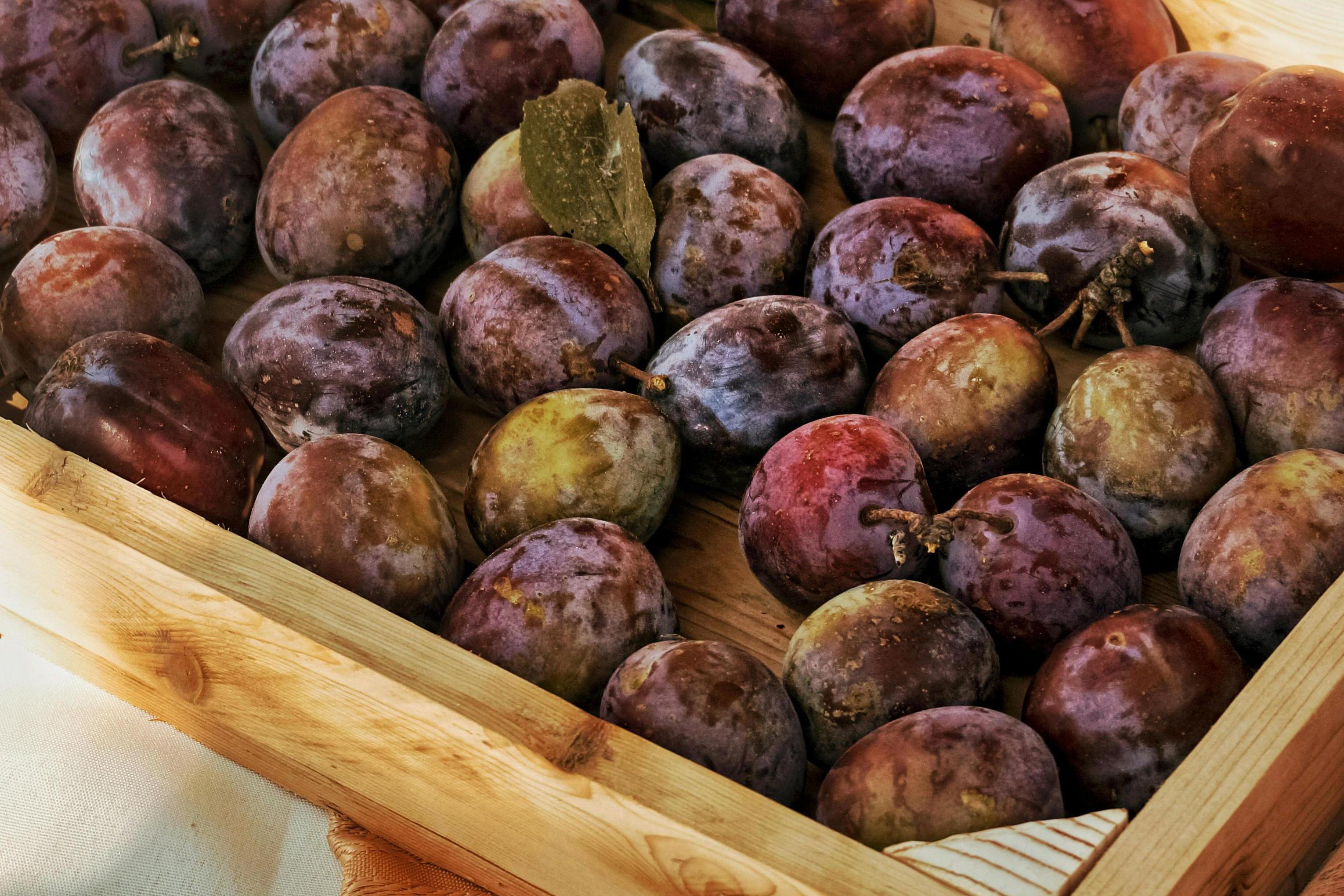 Brando Malenovice, s.r.o.