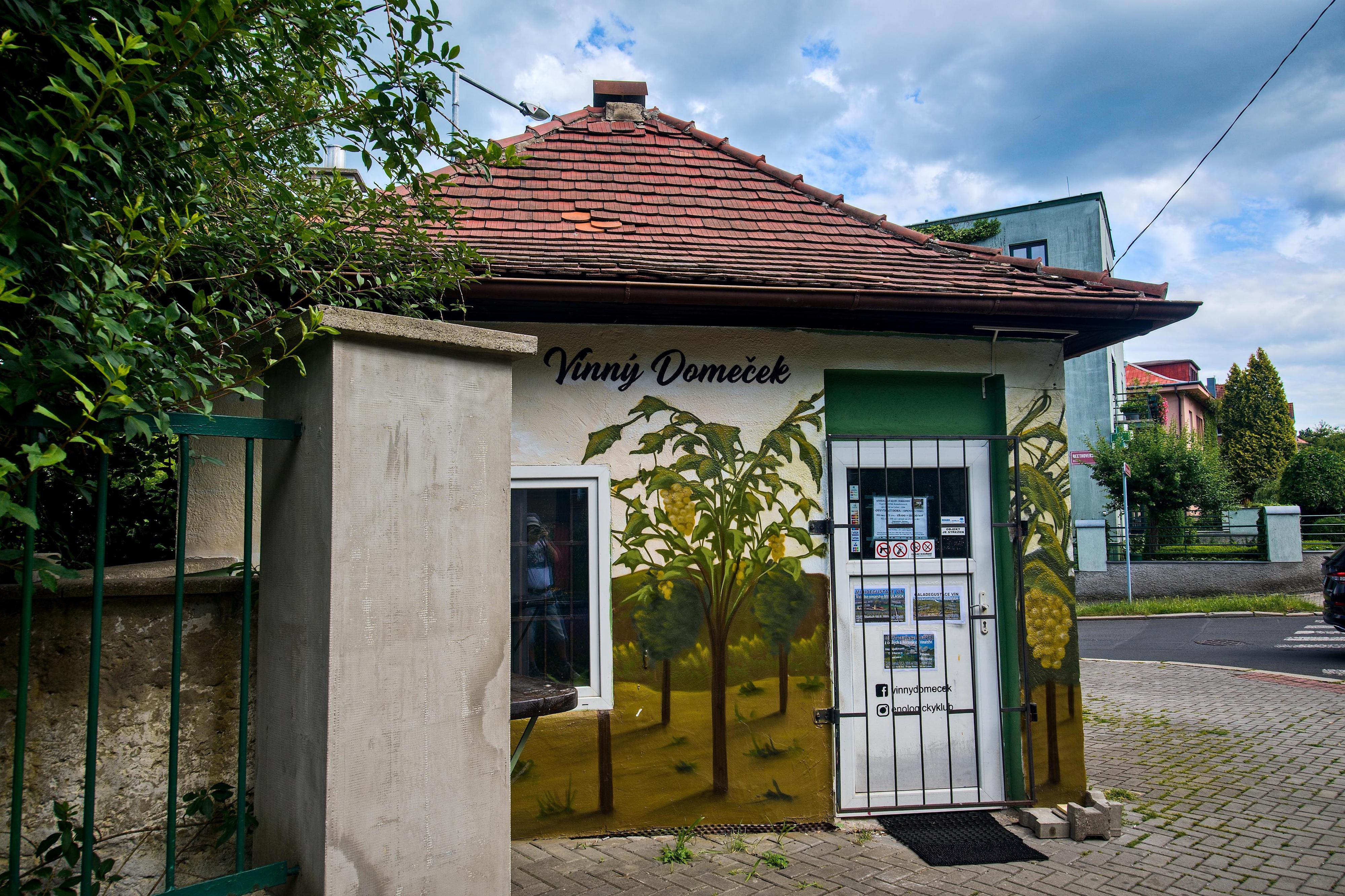 Vinný DOMEČEK - Enologický klub TERRAVINI foto 3