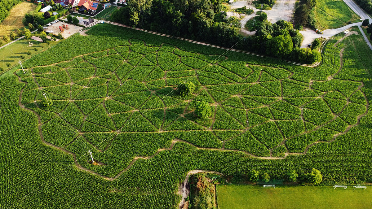 Kukuřičáci – Obří kukuřičné bludiště Strakonice