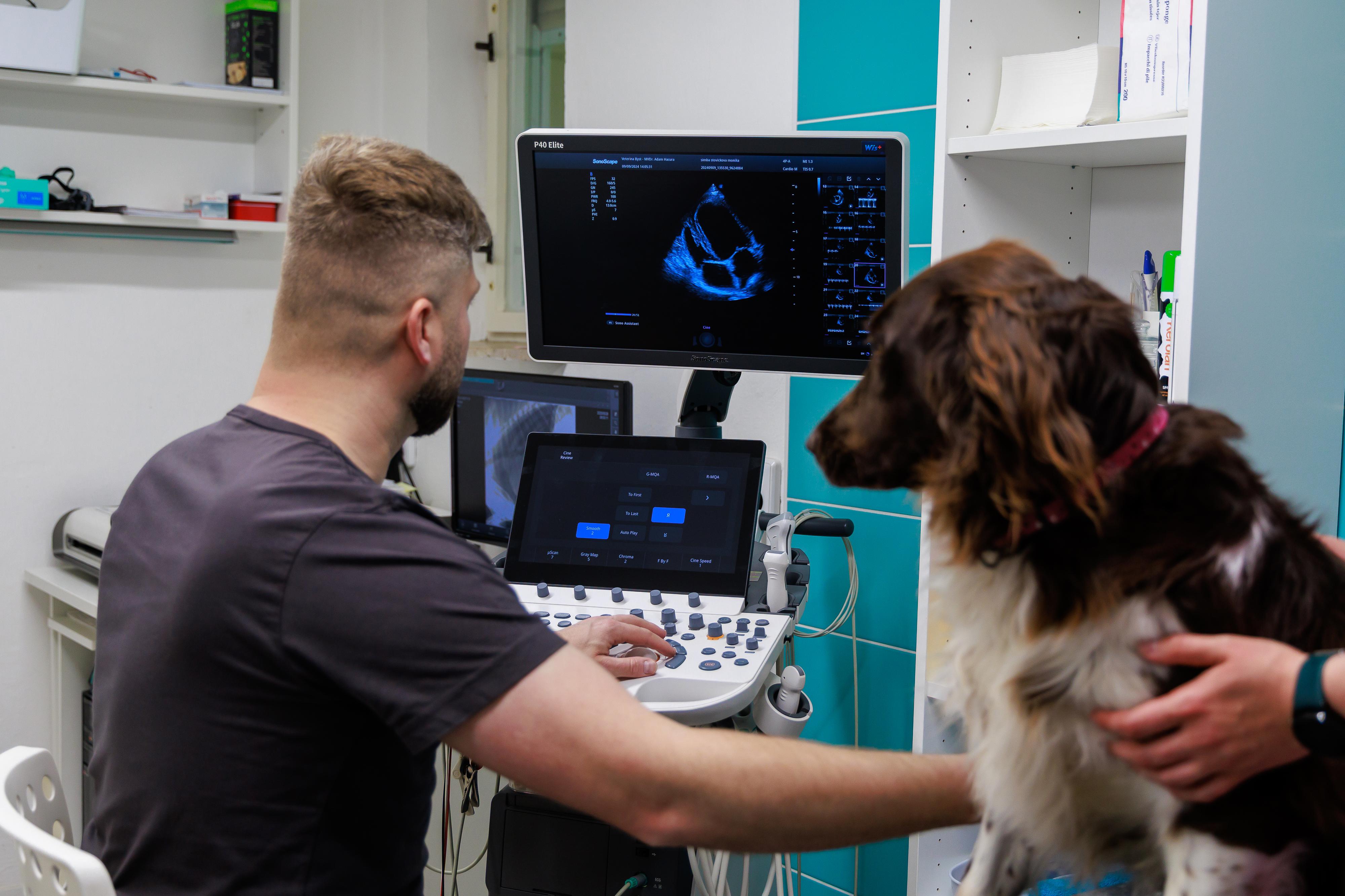 Veterinární ambulance Býšť foto 4