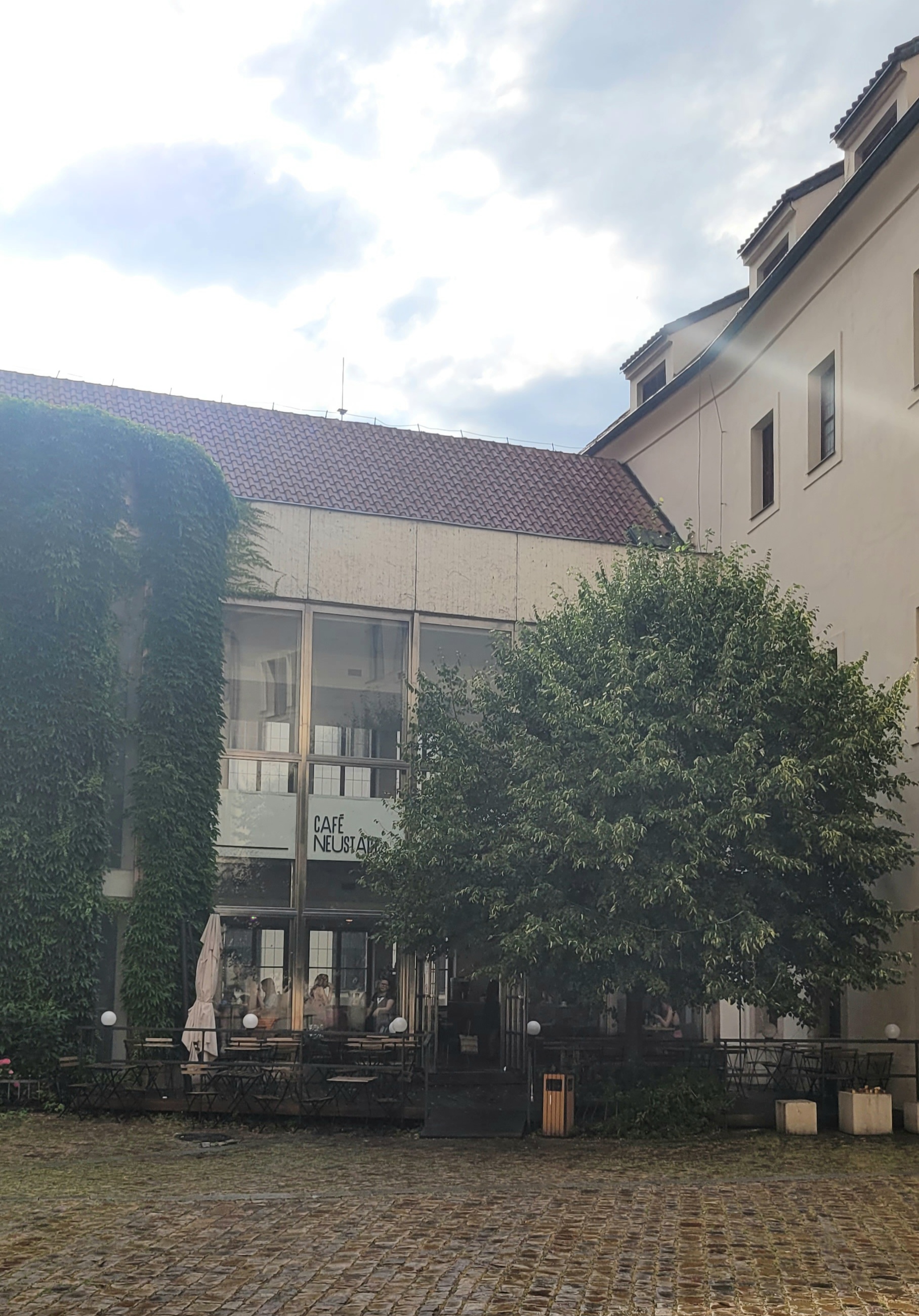 Café Neustadt foto 2