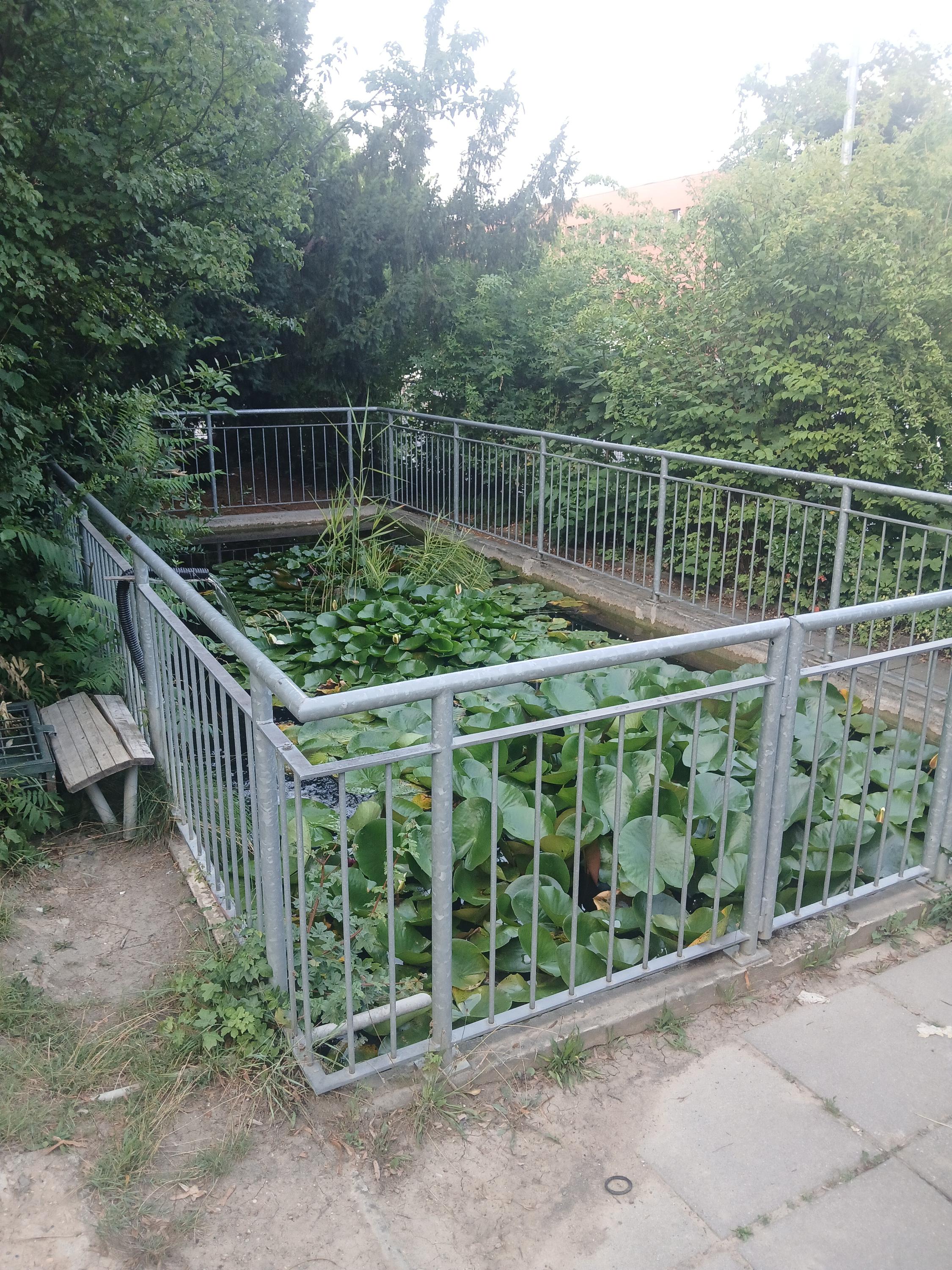 ZŠ a MŠ Praha 6, Bílá foto 6