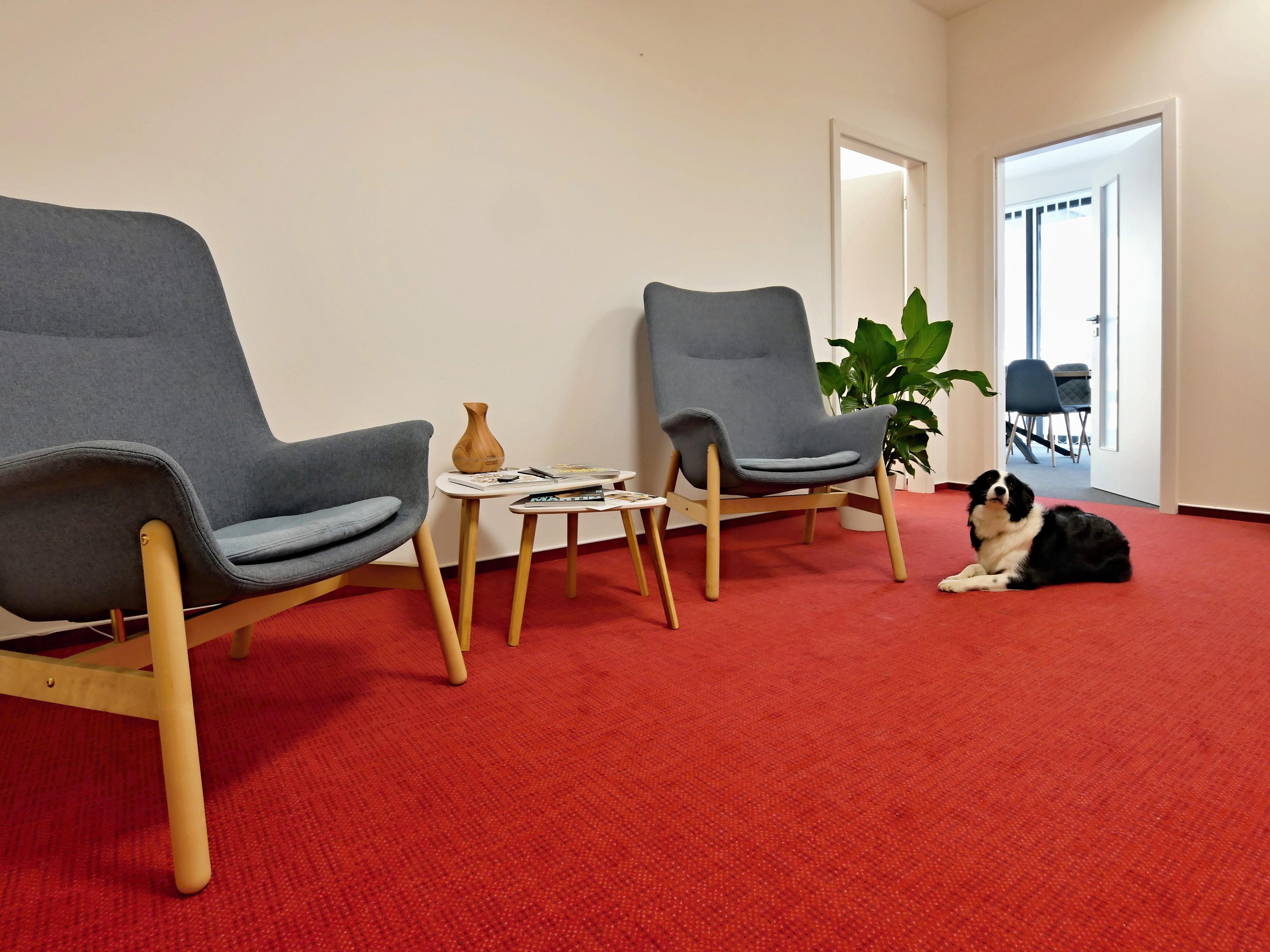 Magda Zapletalová - realitní makléř foto 2