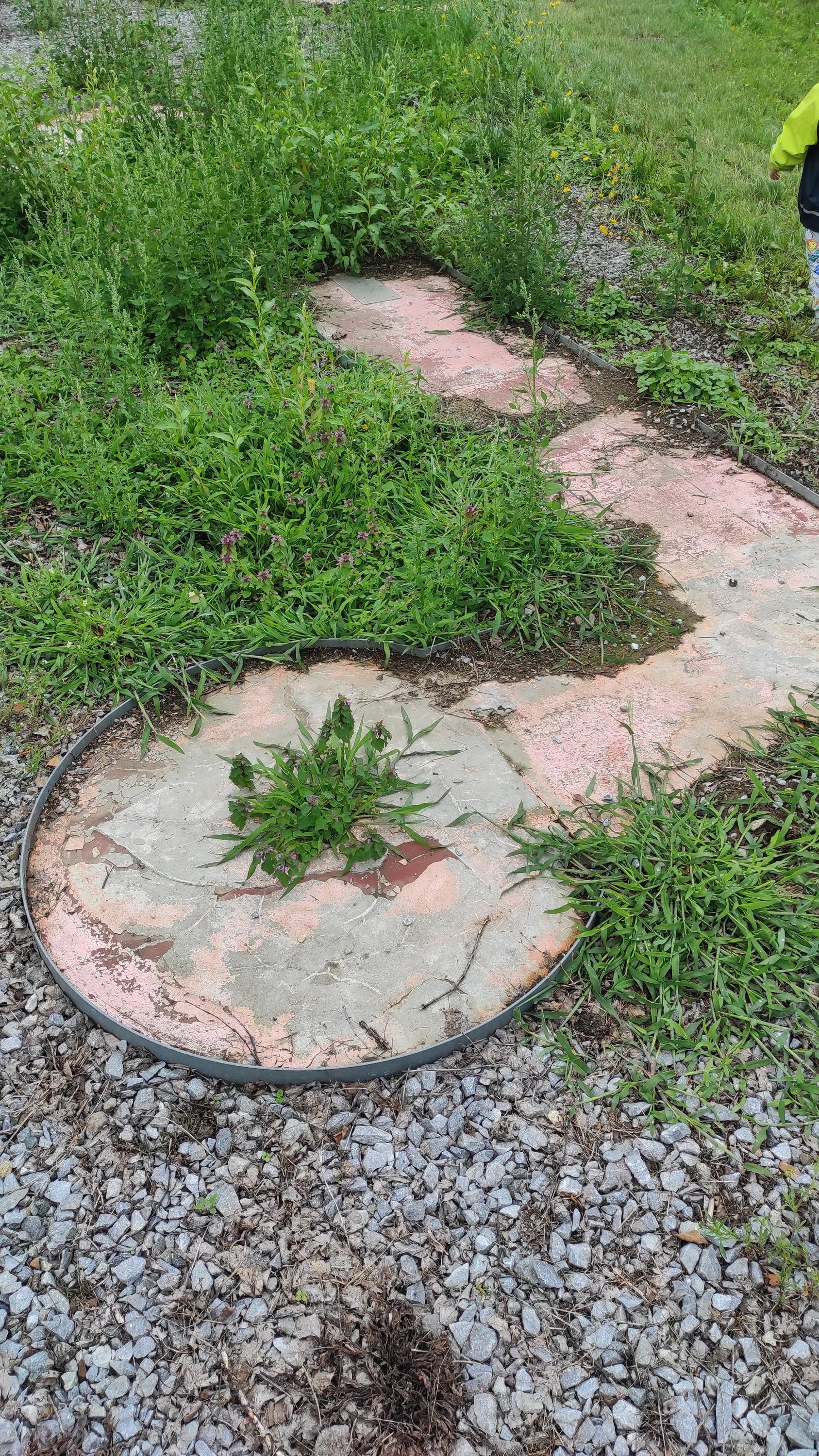 Minigolf Černá v Pošumaví foto 2