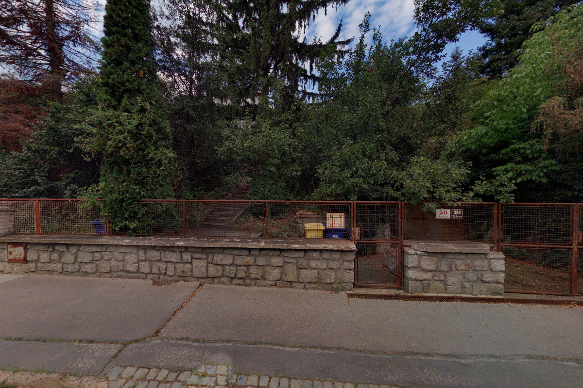 Koučink Jasna Flamiková foto 2