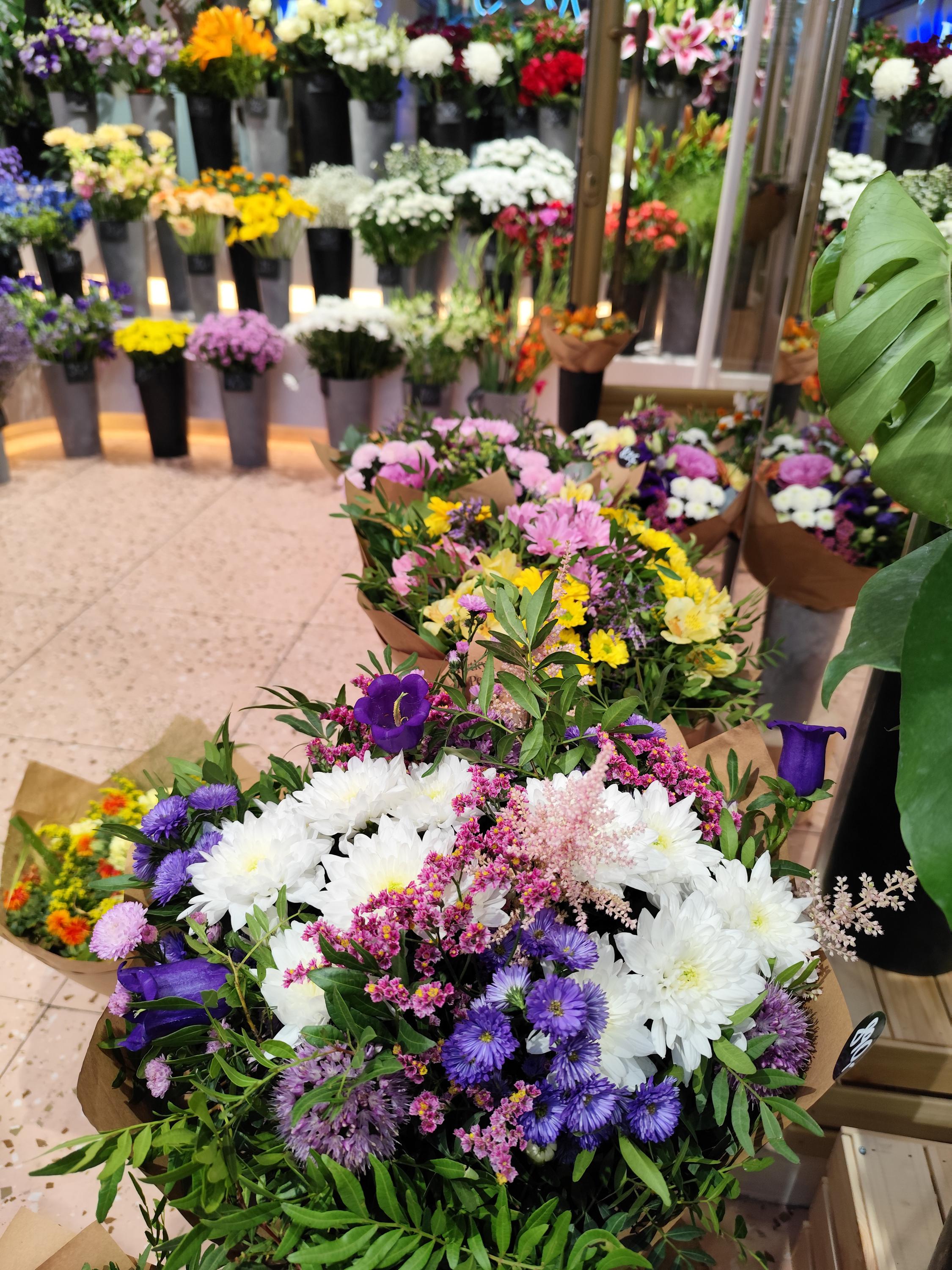 KYTKY OD PEPY foto 2