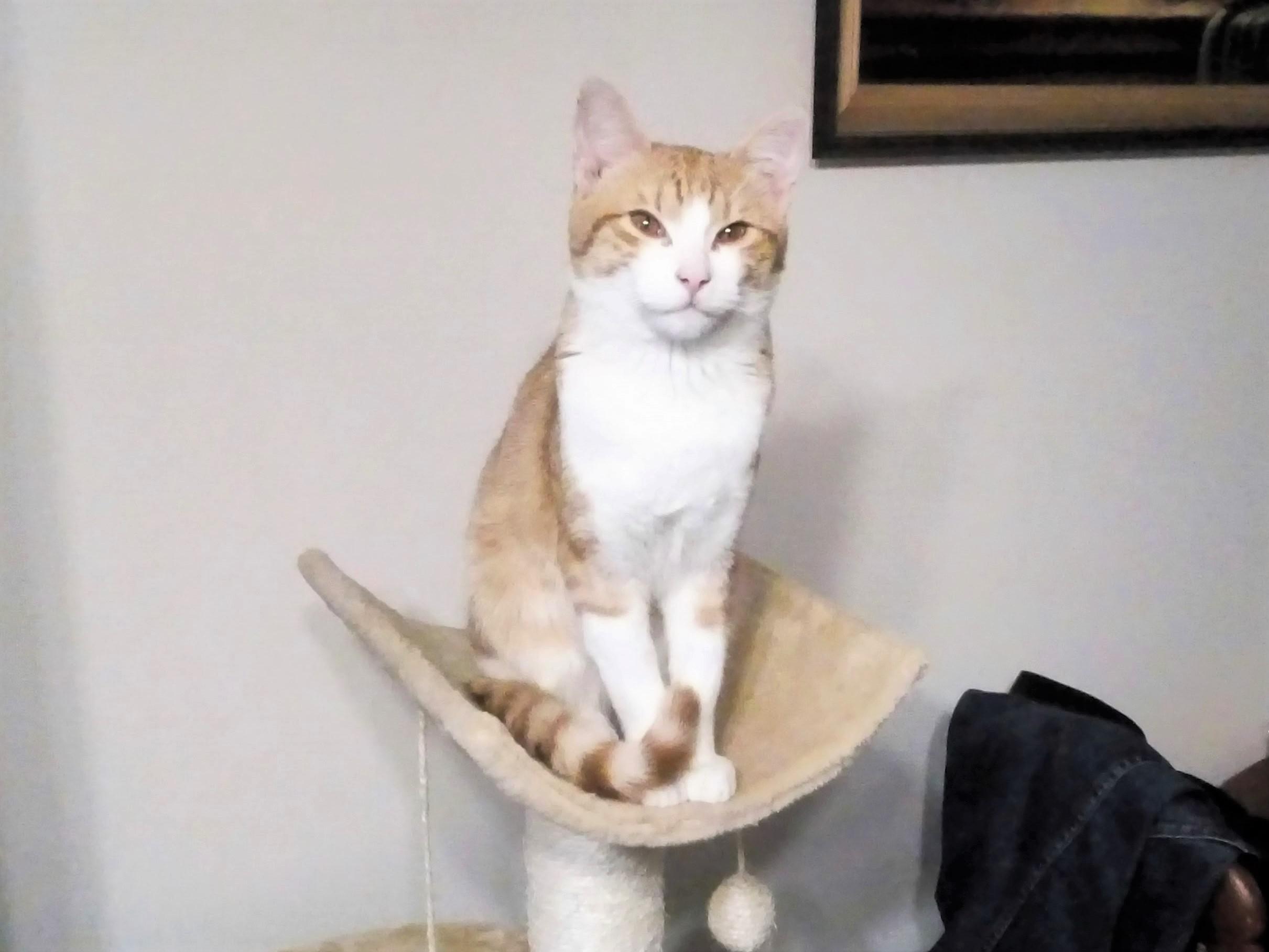 Středisko veterinární péče, s.r.o. foto 2