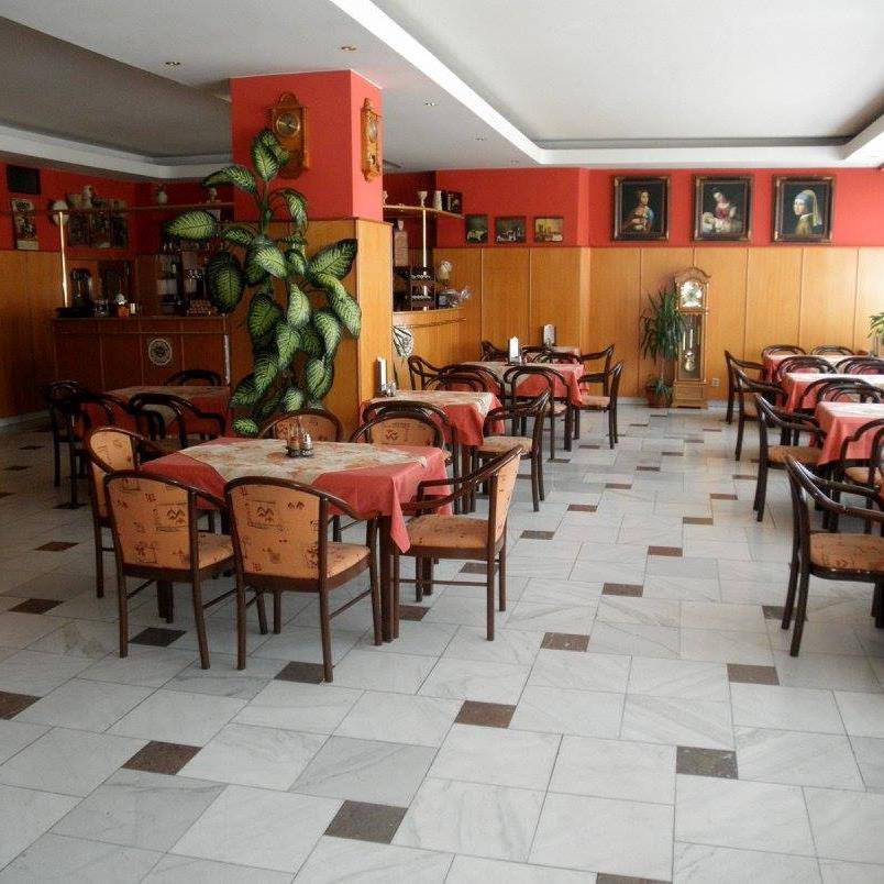 Hotel Vysočina foto 4