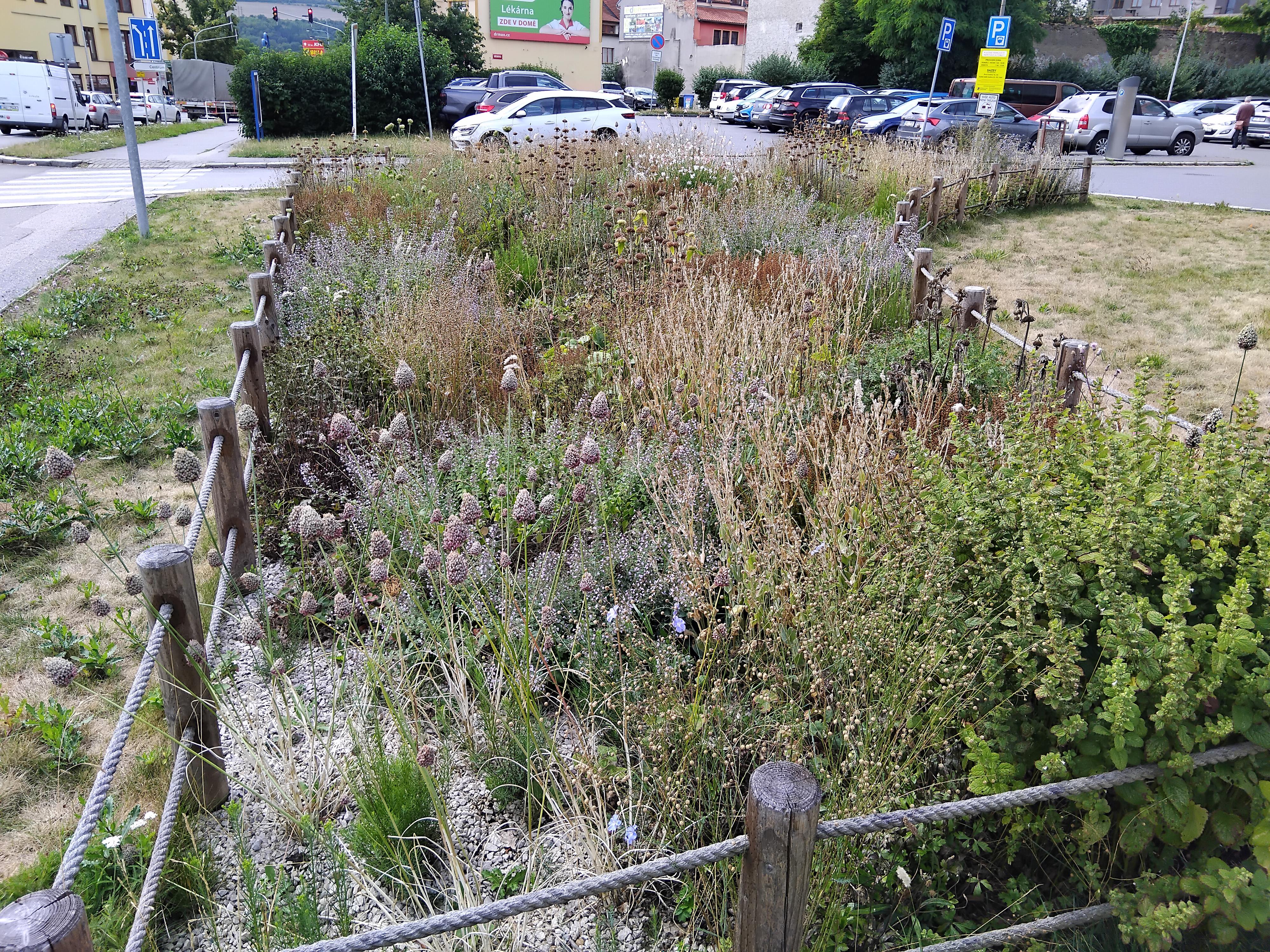 Medicentrum Beroun, a.s. foto 4